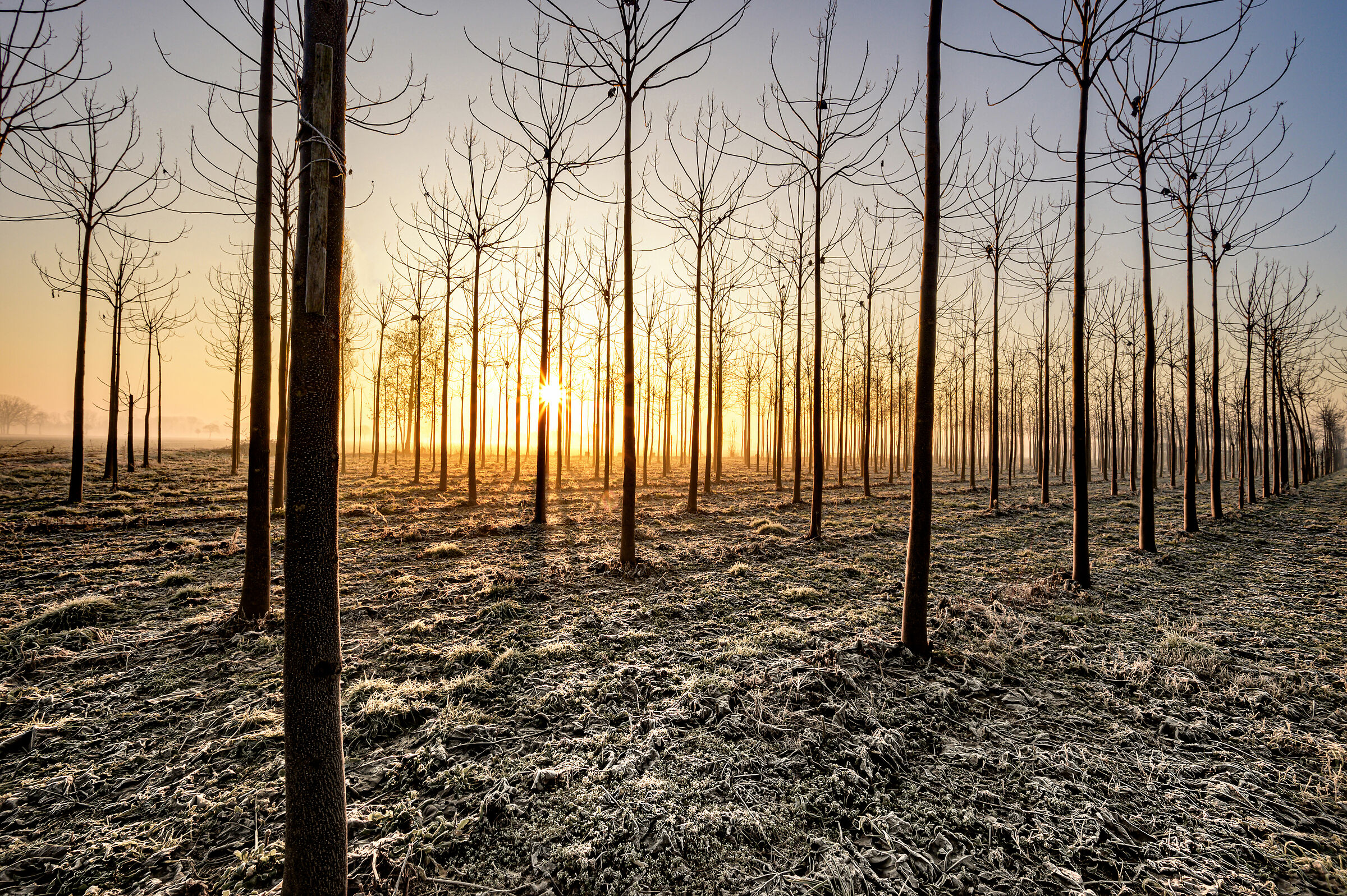 Segni delle stagioni