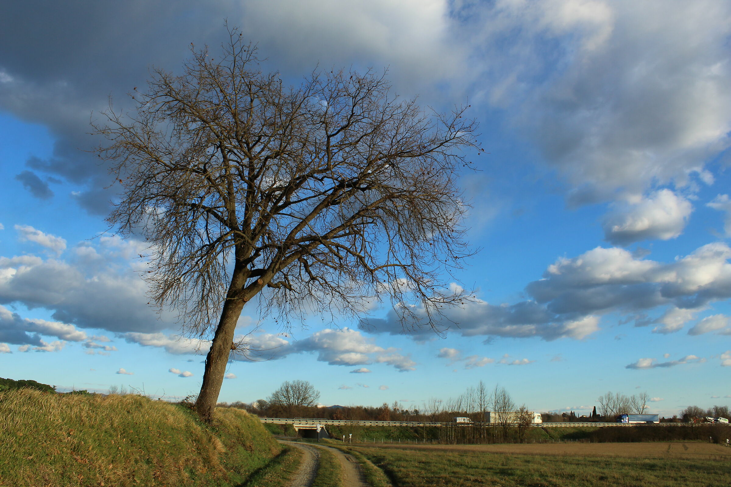 La natura intaccata dall'autostrada