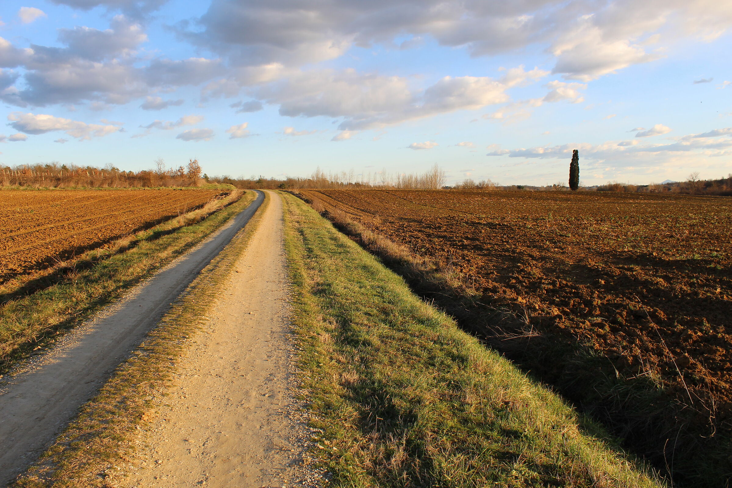 La strada al tramonto