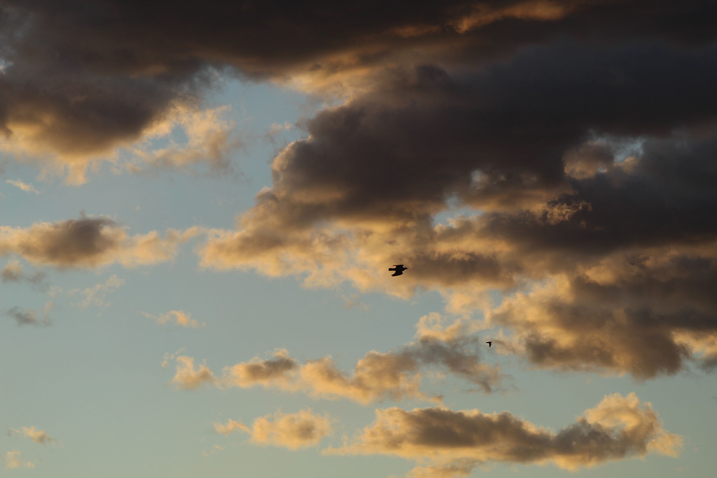 Only in the clouds