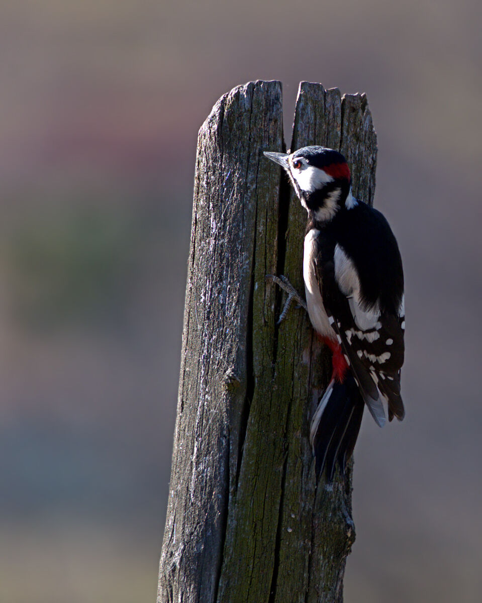 look at your back...