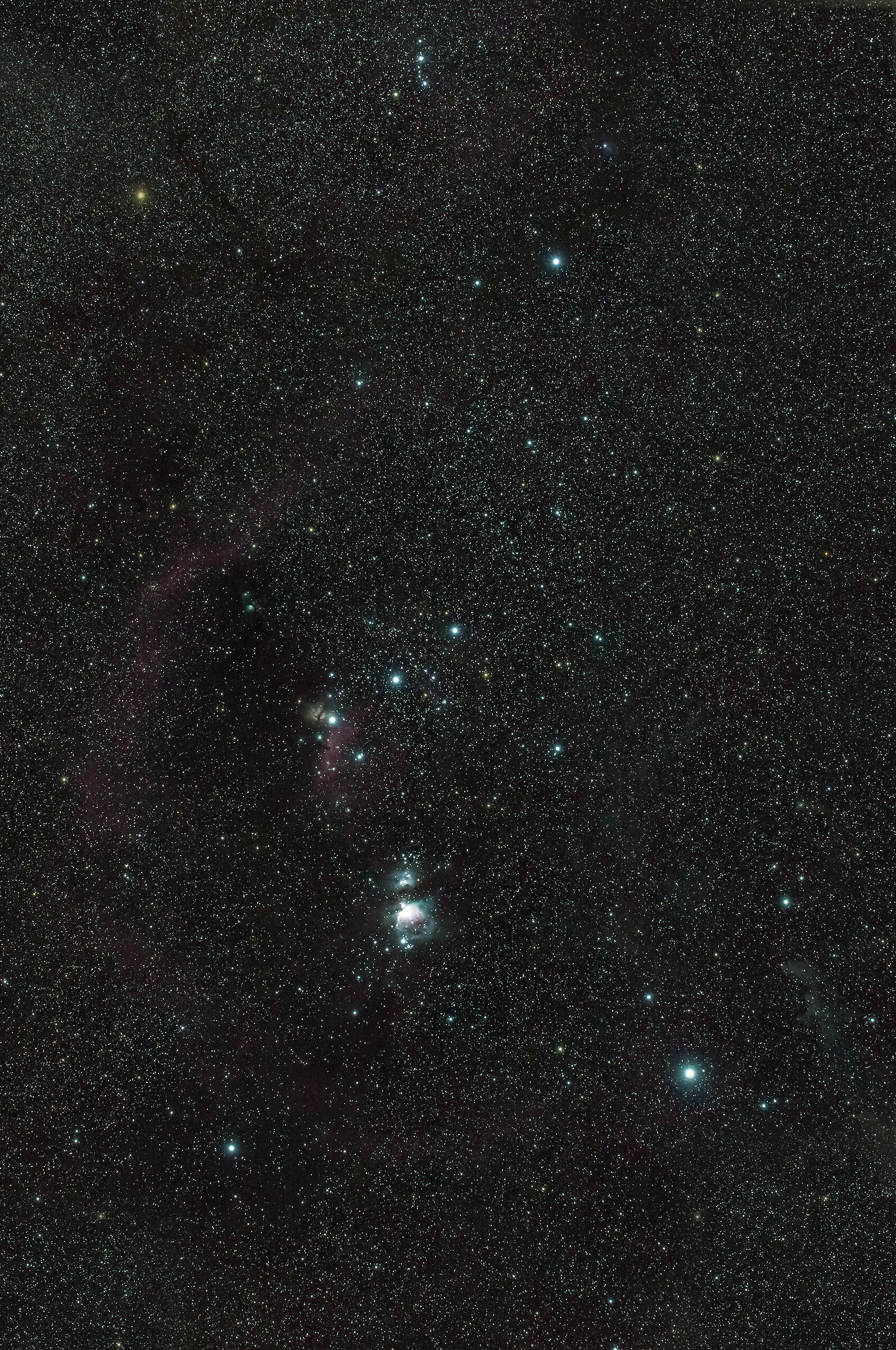 Constellation d'Orion