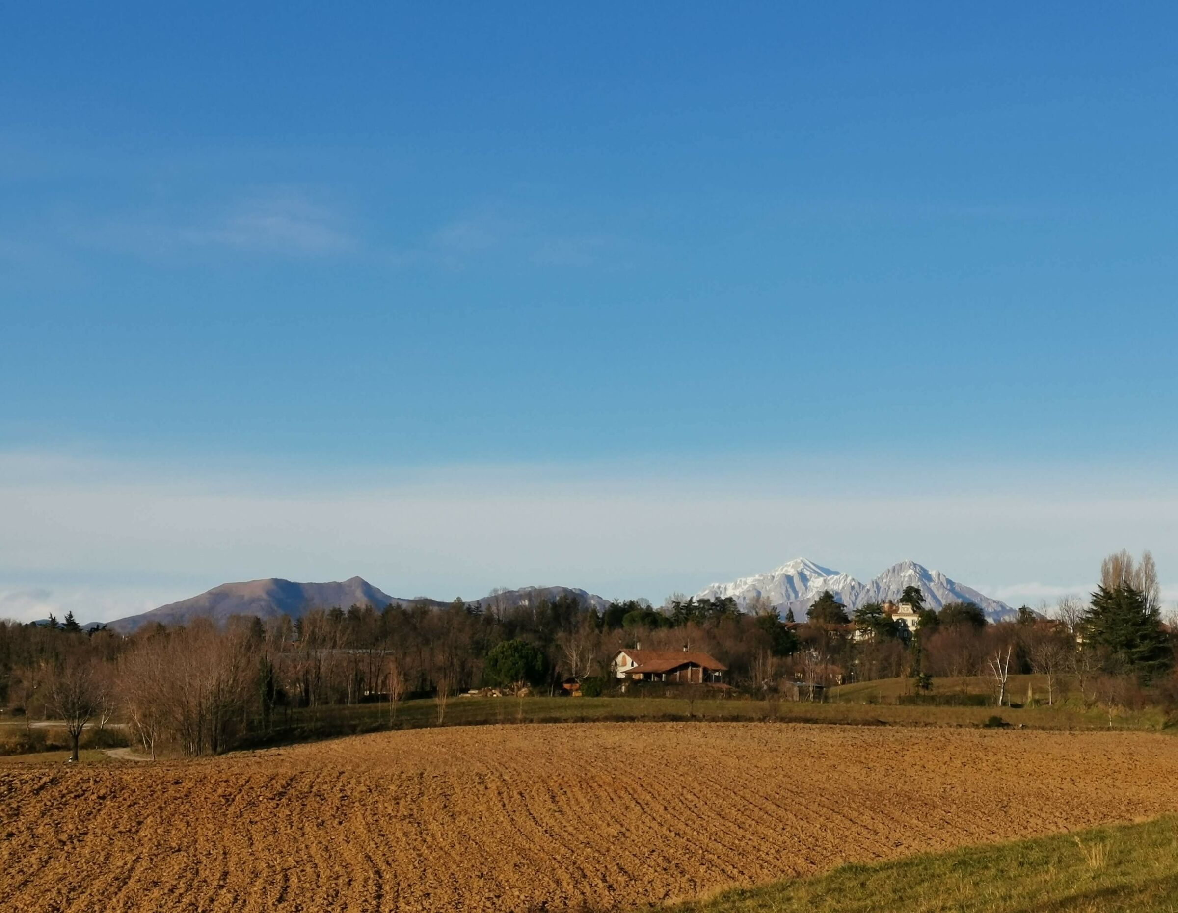 The Griffins from Brianza