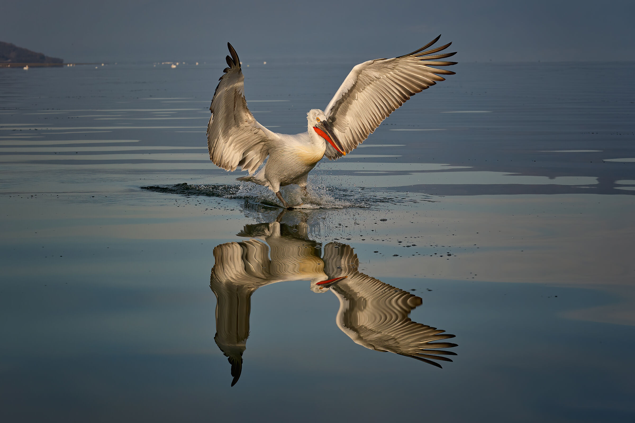 Mirrored landing