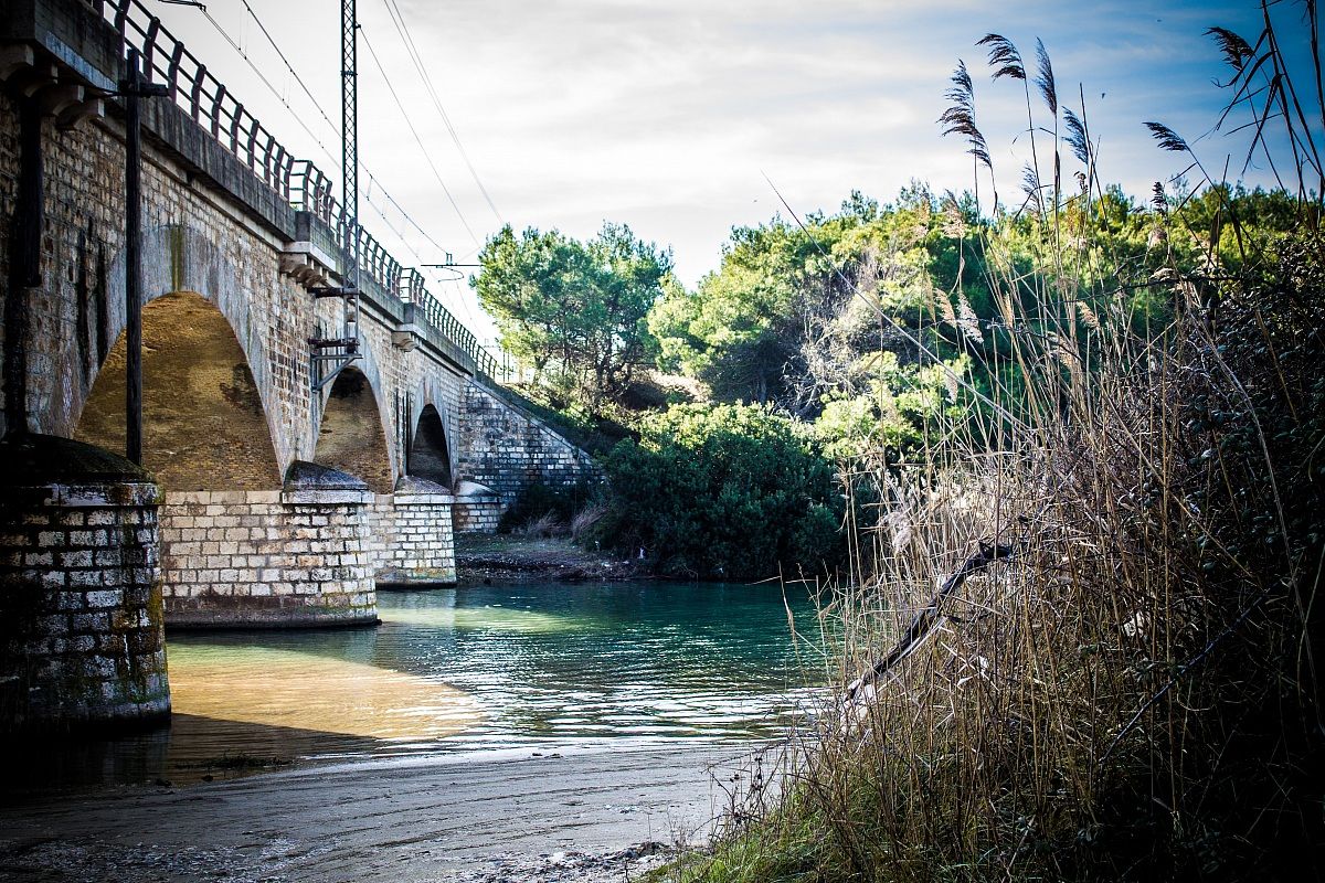 The bridge over the river