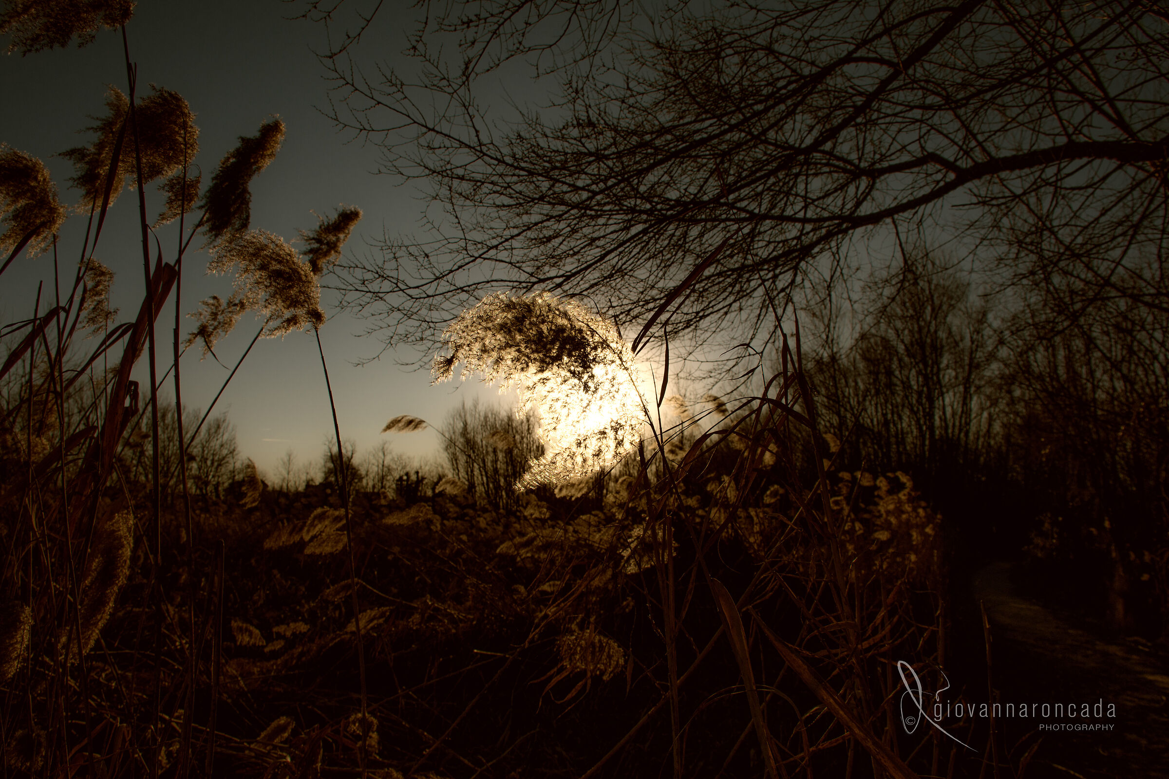 Photo: Giovanna Roncada