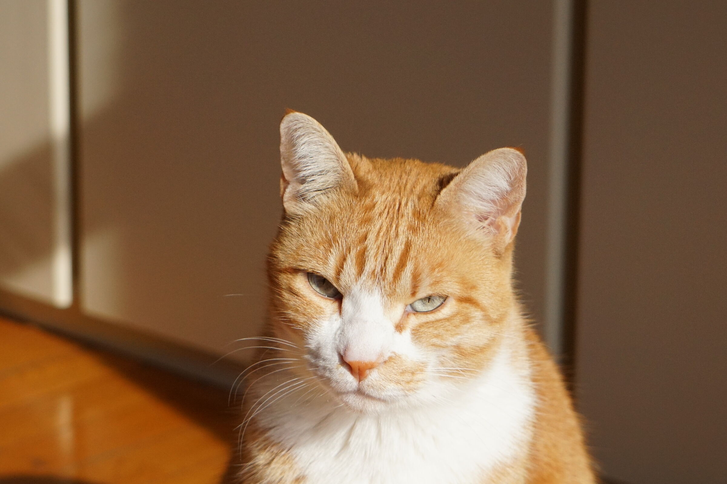 It's useless that you scold me so you don't believe it eithe...