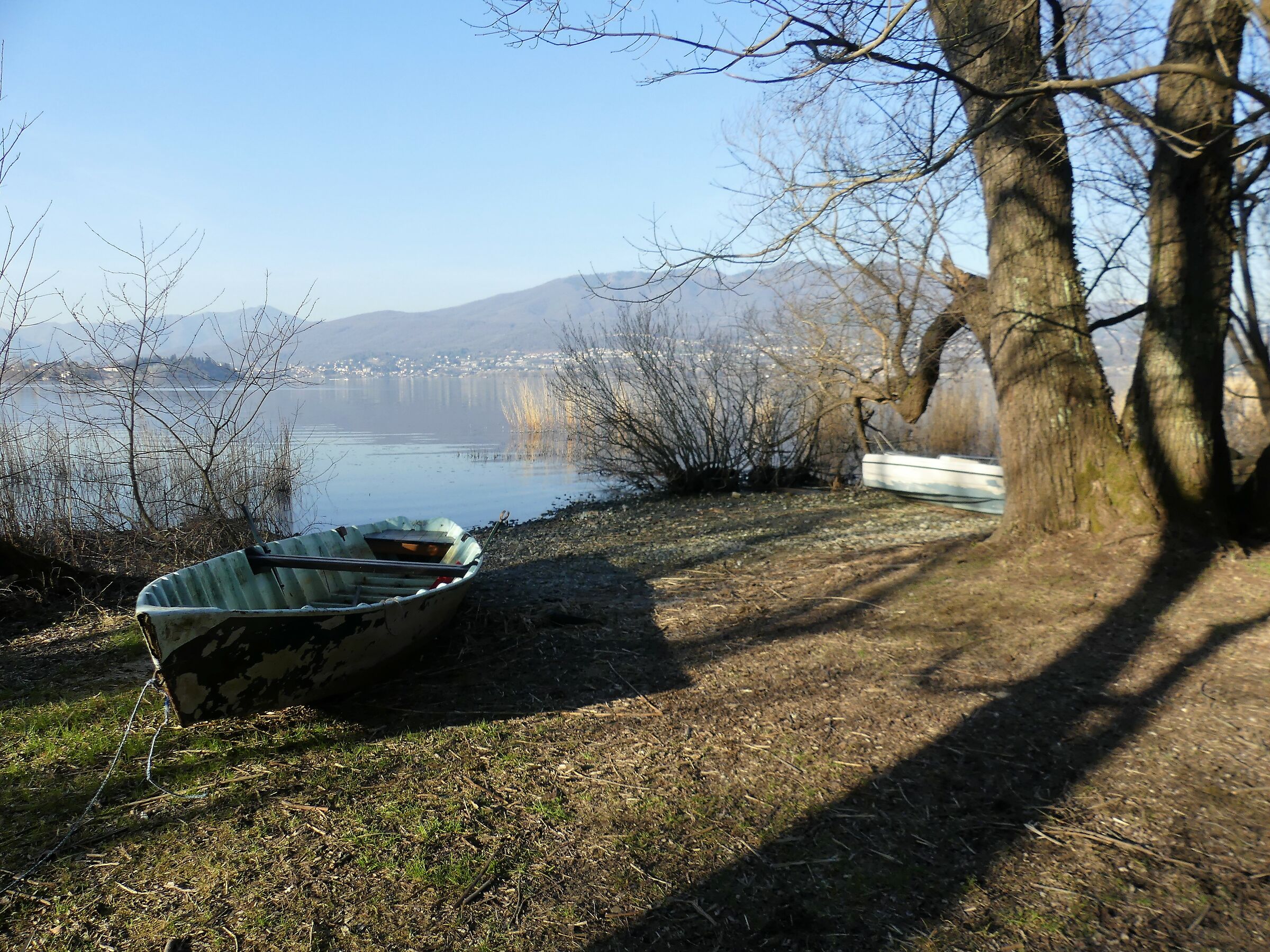 Untitled Photo