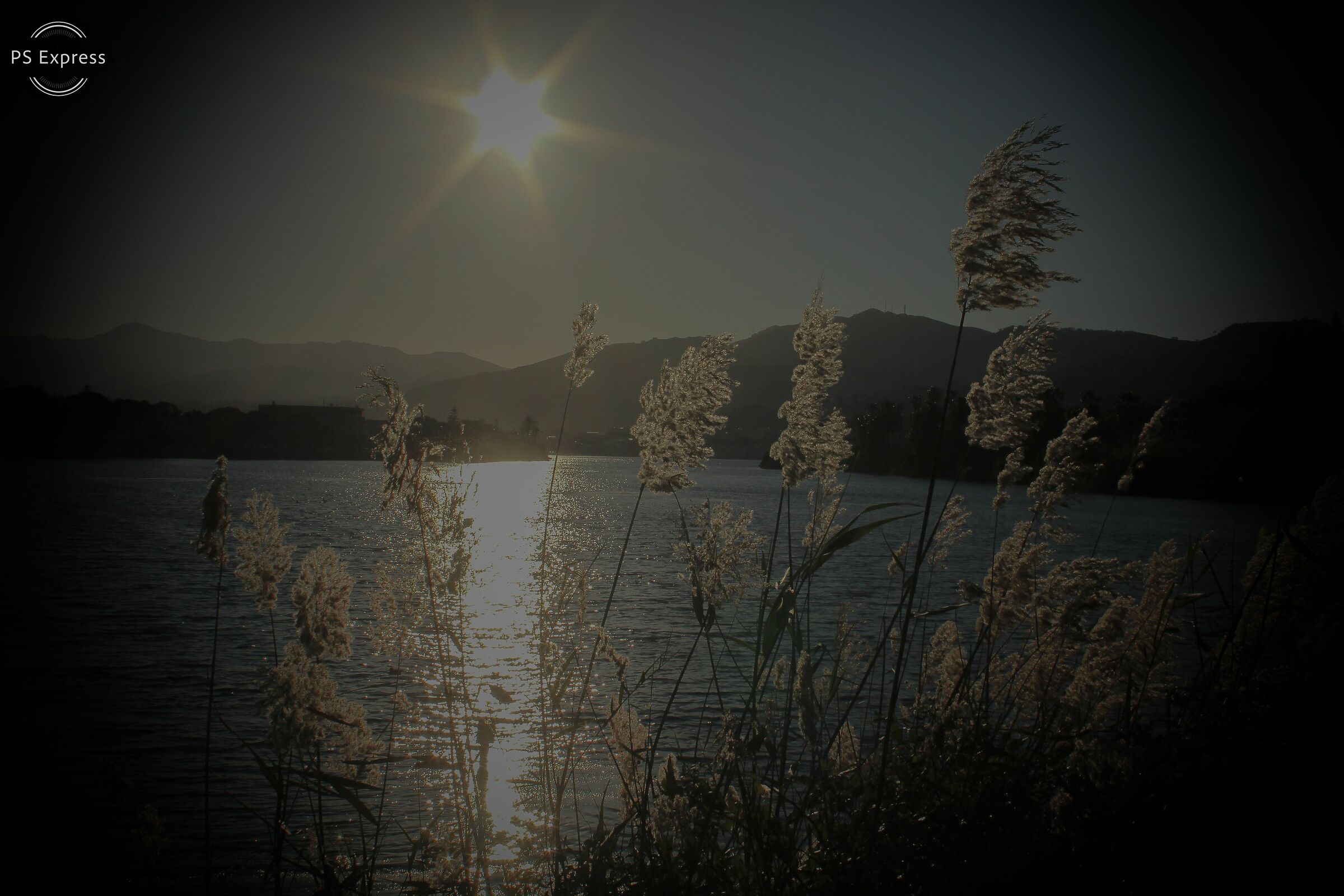 A piece of the heart