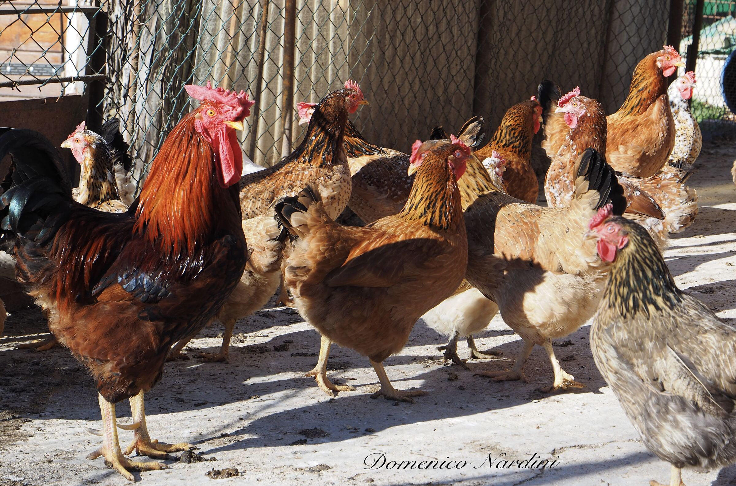 Only but in good company