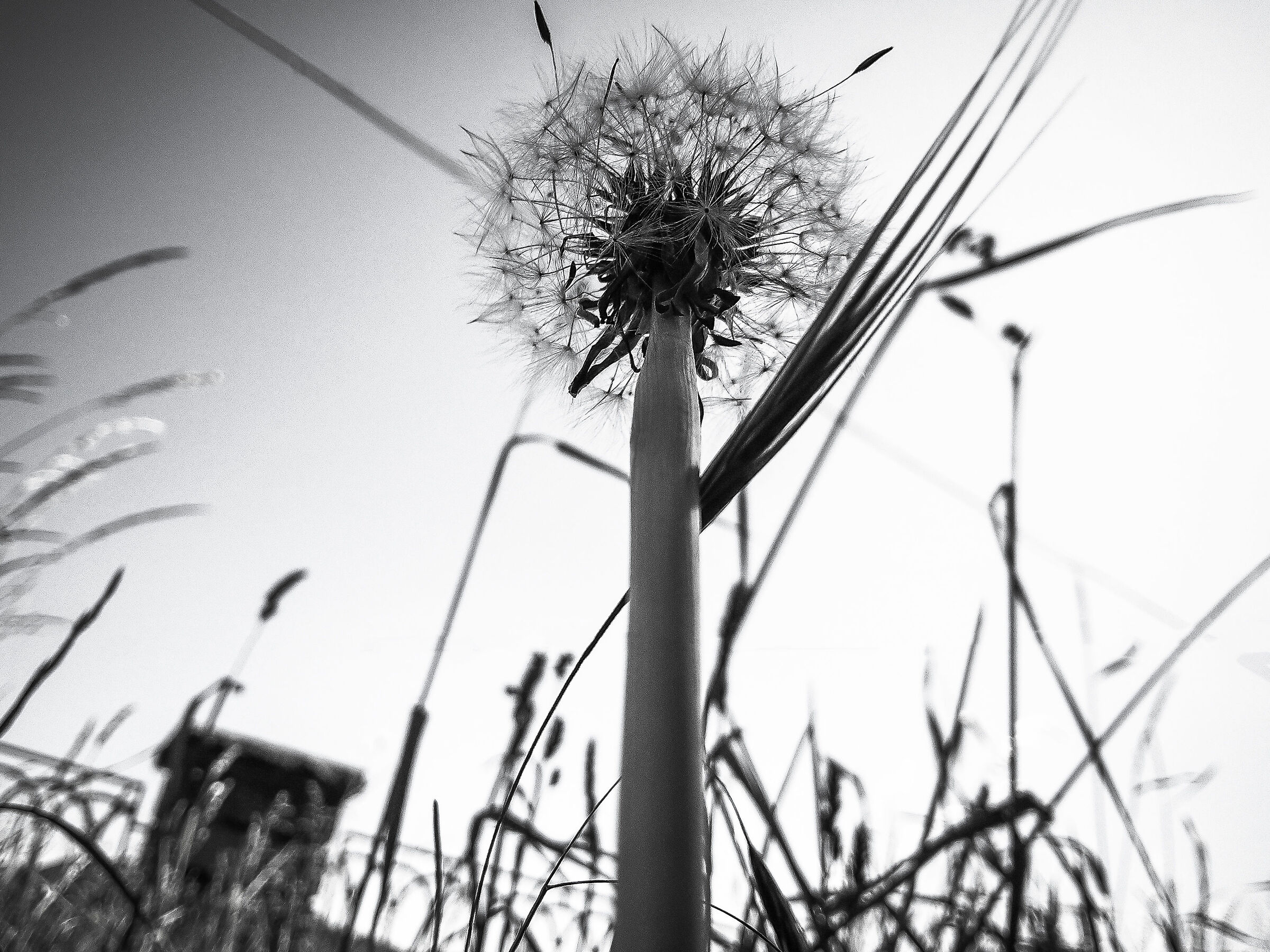 On the slopes of a shower