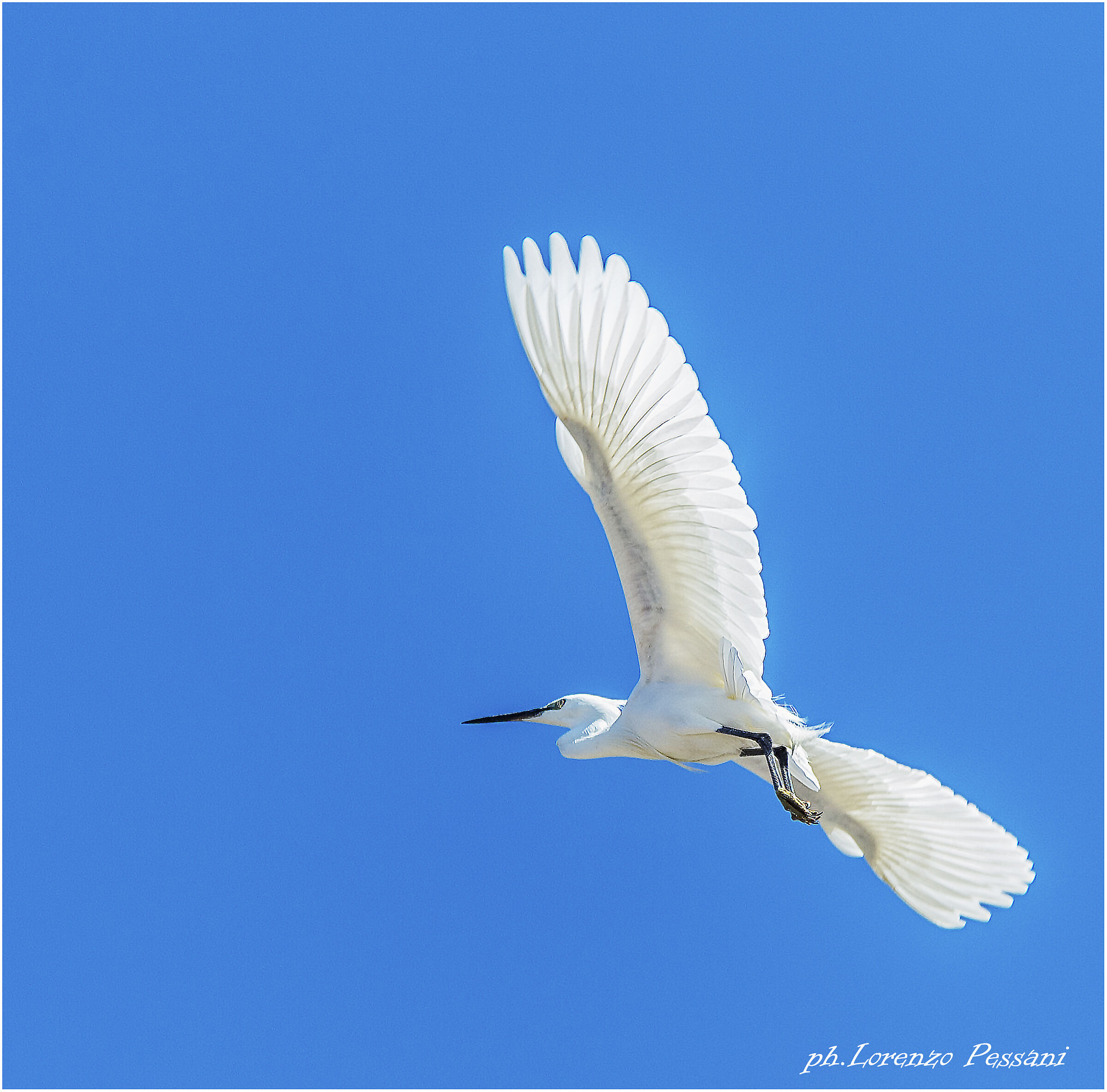 flight on the Delta del Po