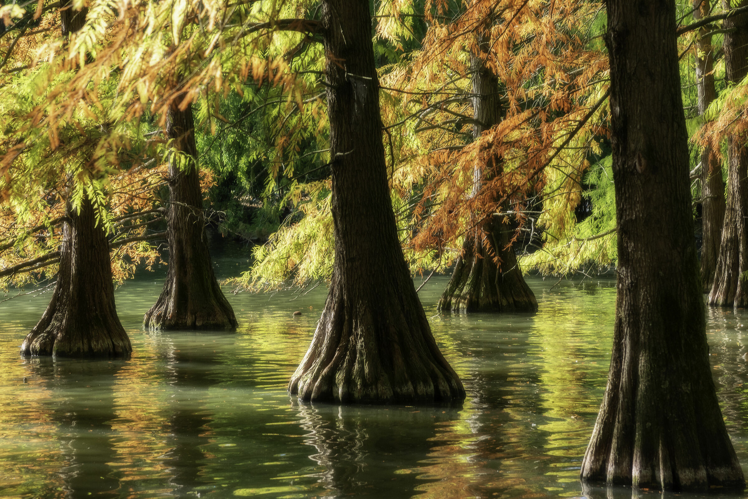 Parco Bucci - Faenza