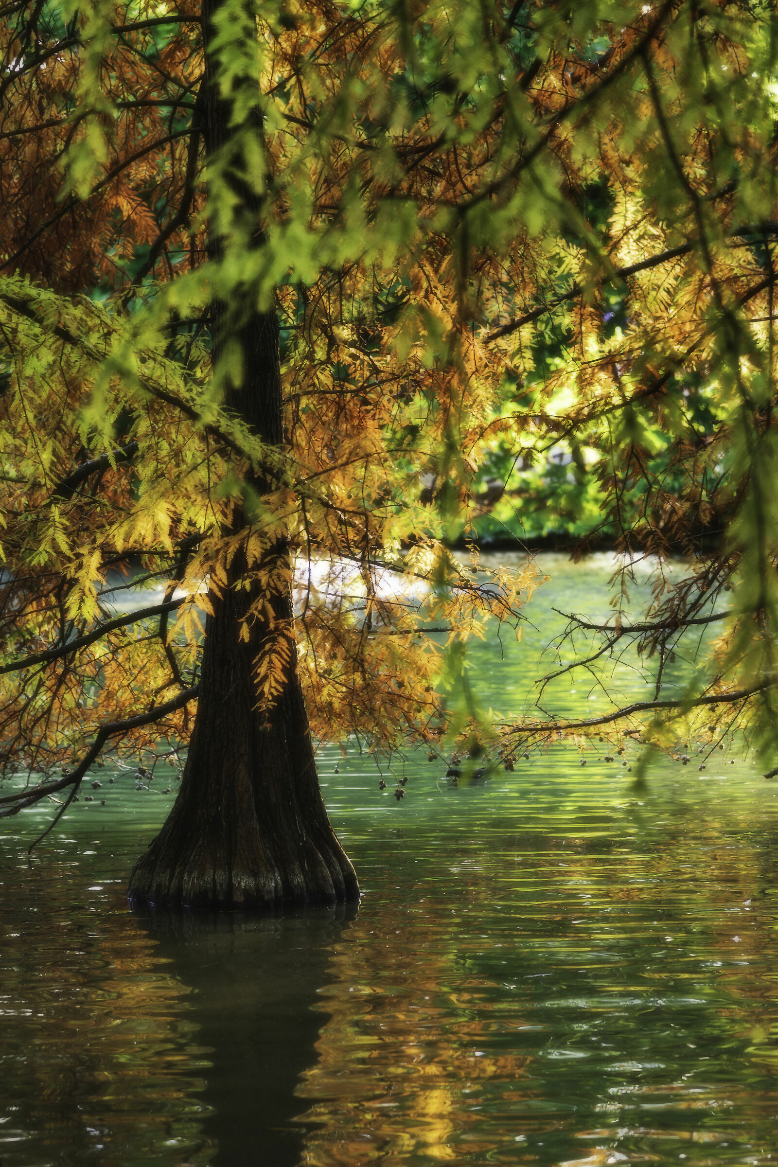 Parco Bucci - Faenza