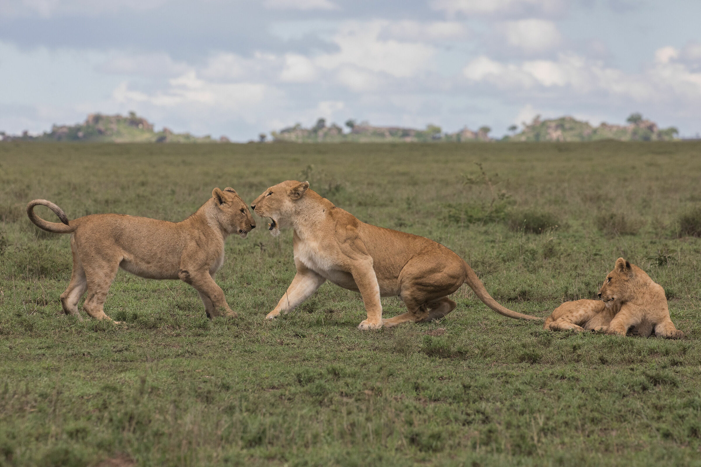 When the going gets tough... Mom comes in.