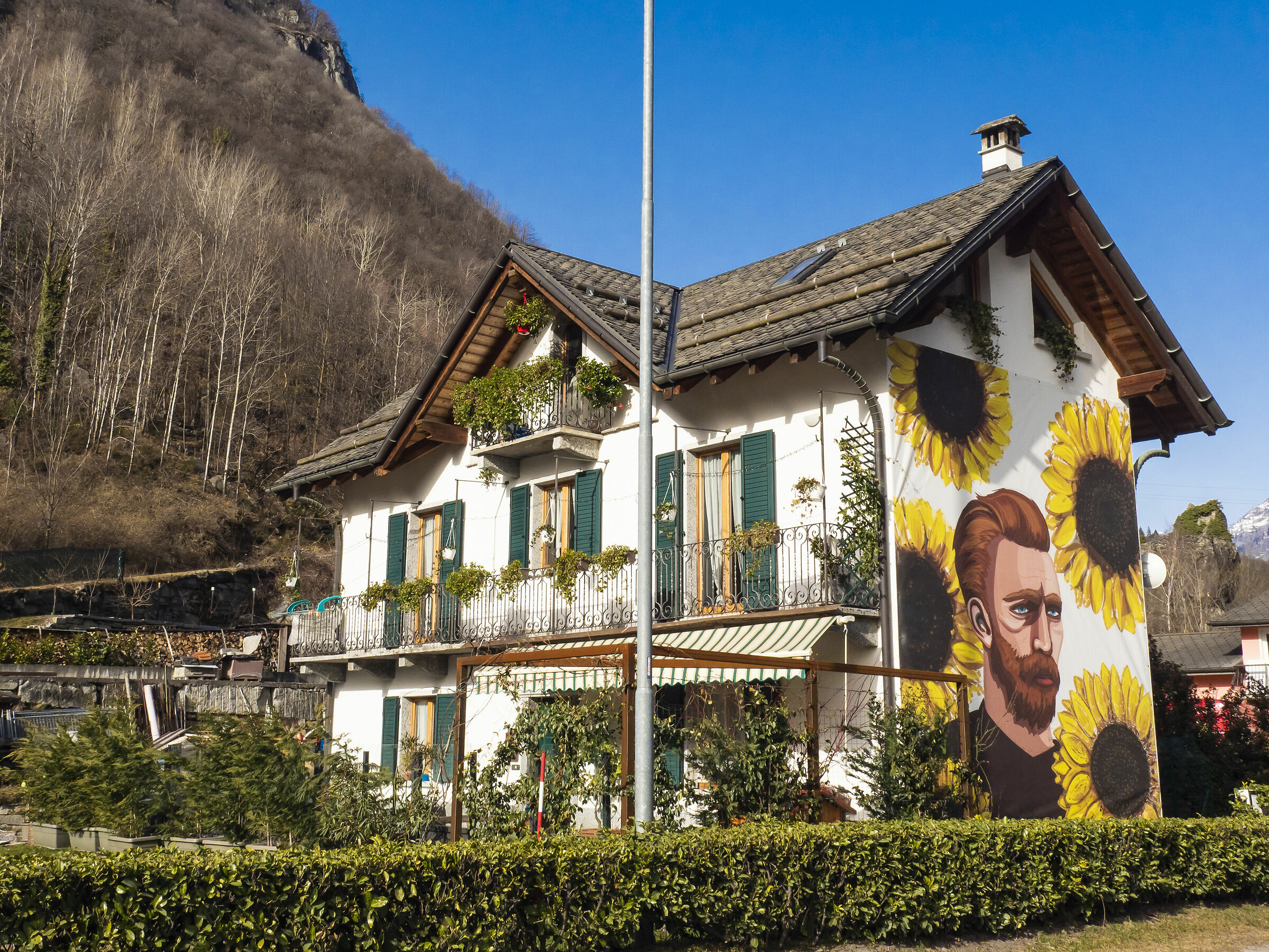 When you love van Gogh and the Sunflowers....