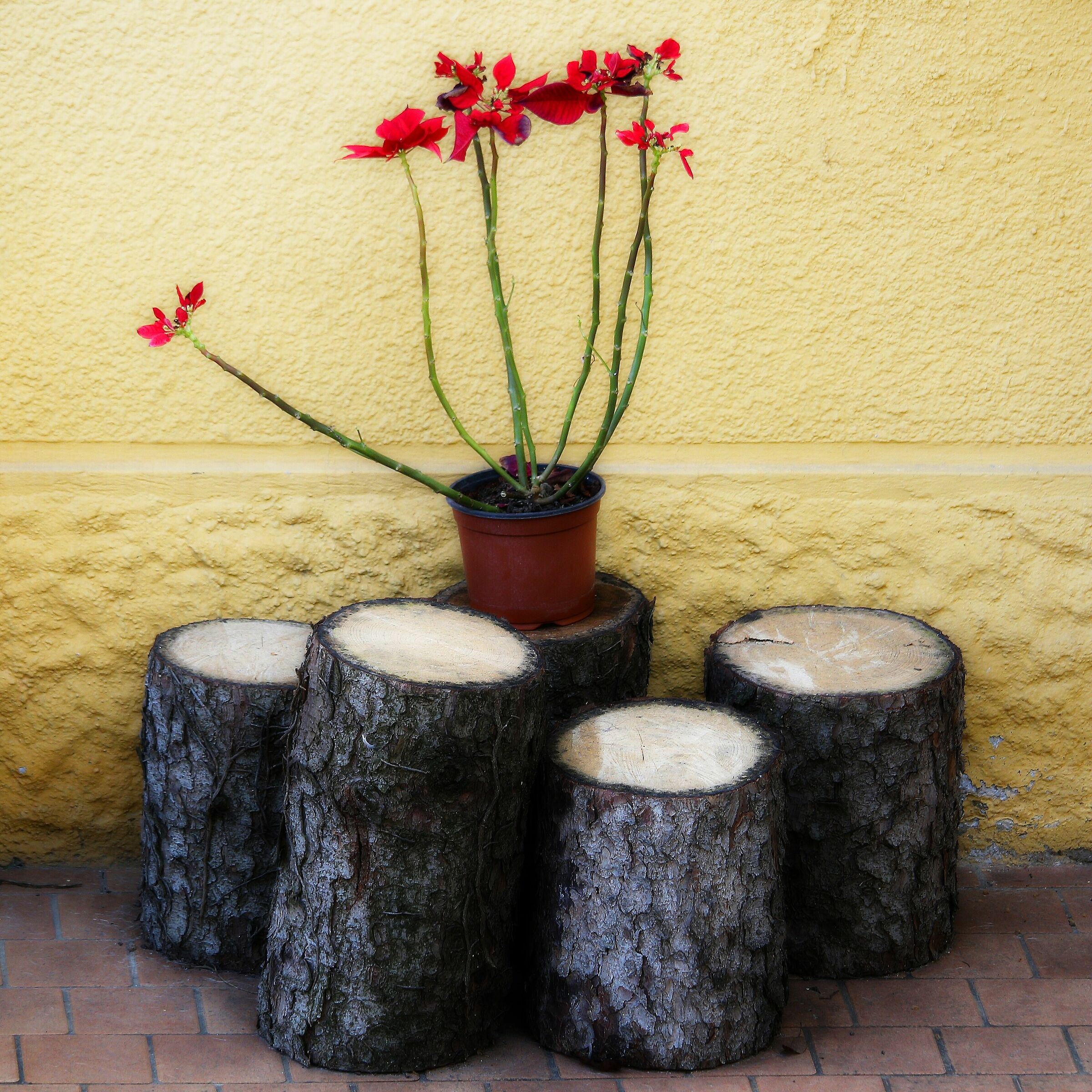 "I hope I can handle it..."