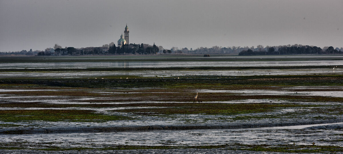 Grade - Belvedere - Barbana Island
