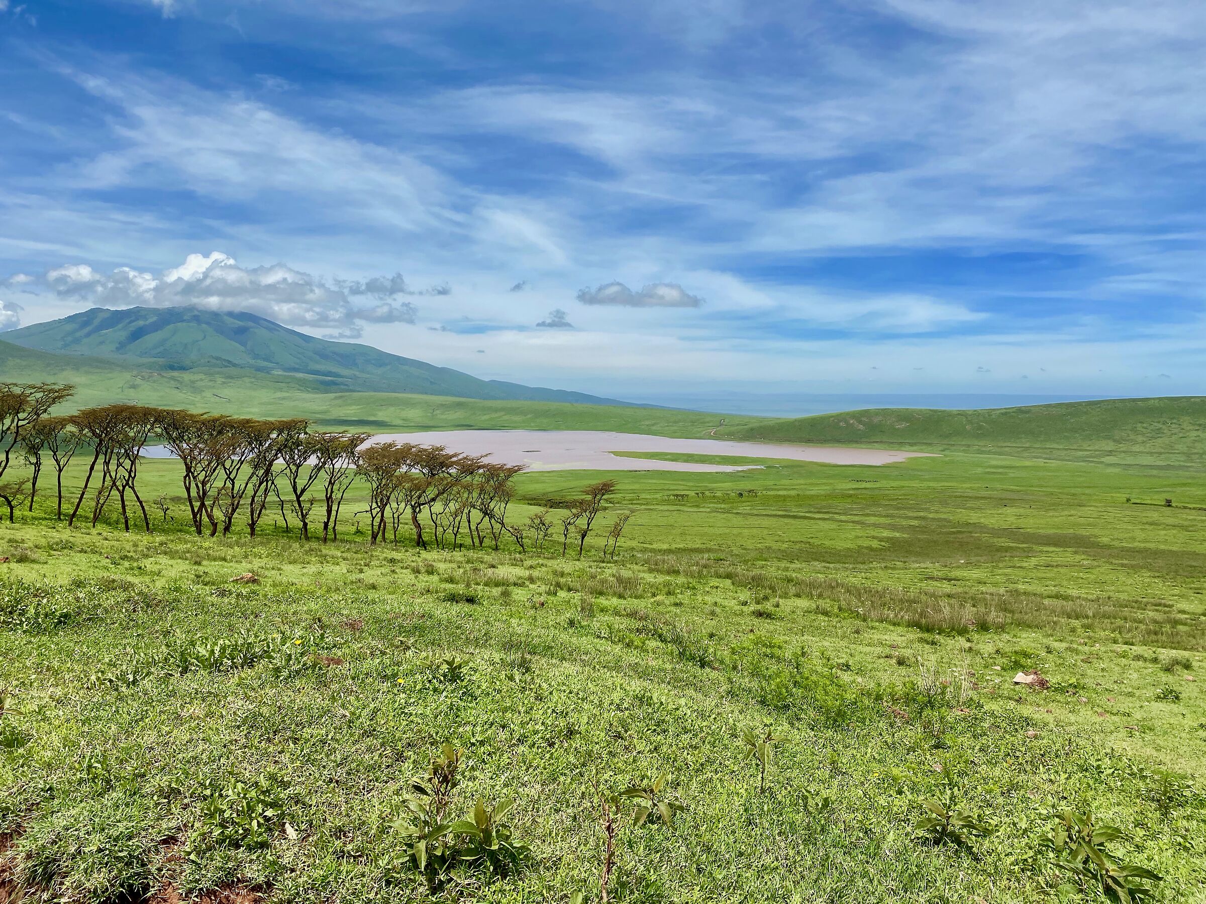Cratere Ngoro Ngoro Tanzania