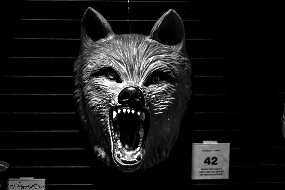 Ricercato nr.42, The Wolf