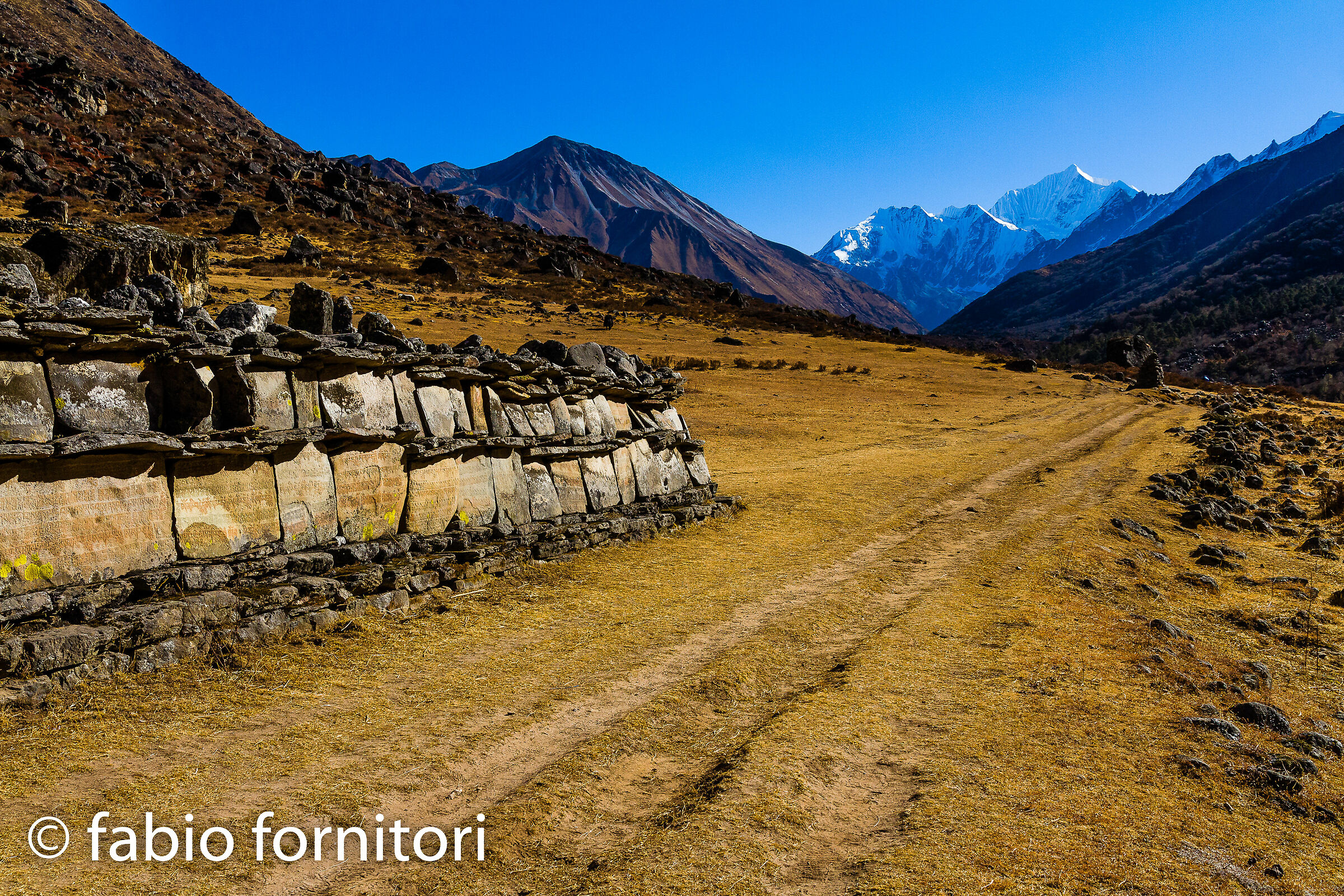 Langtang Valley, Langtang hike, Nepal 2011