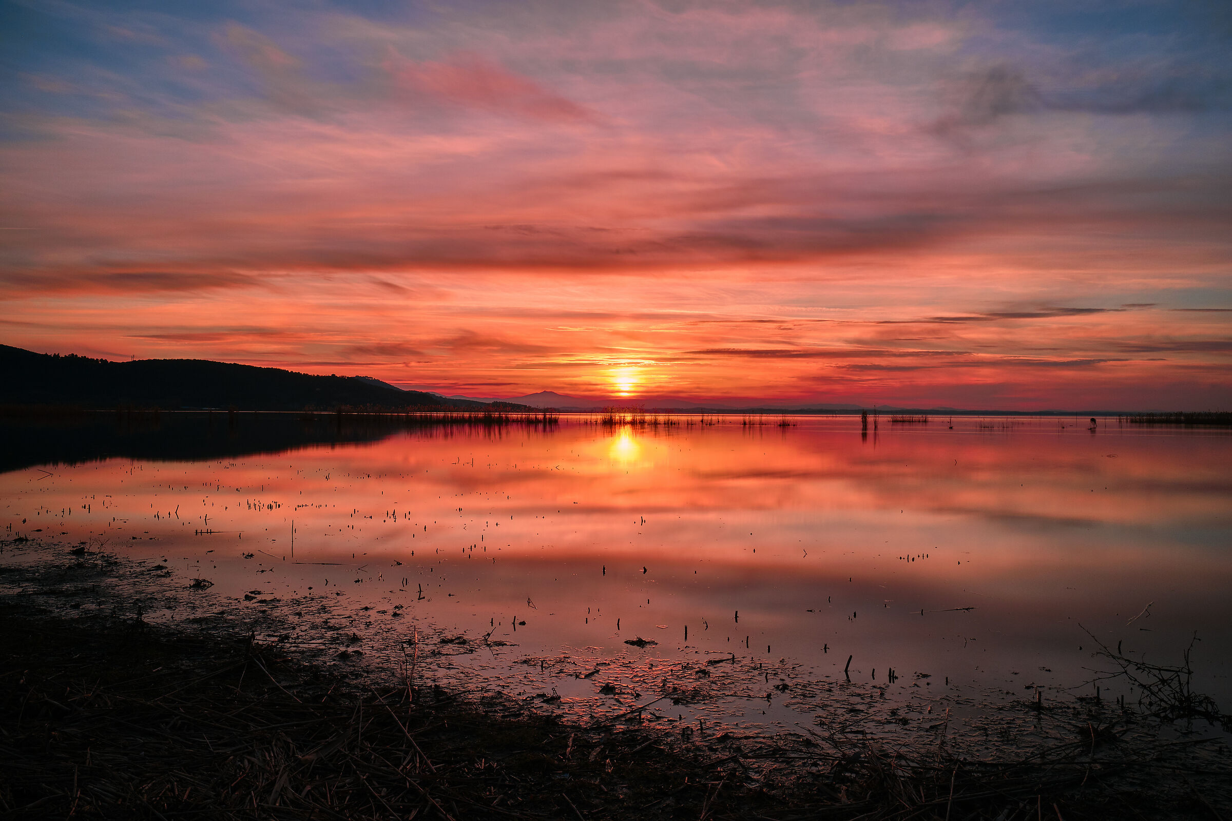 Naturalistic oasis "The Valley"
