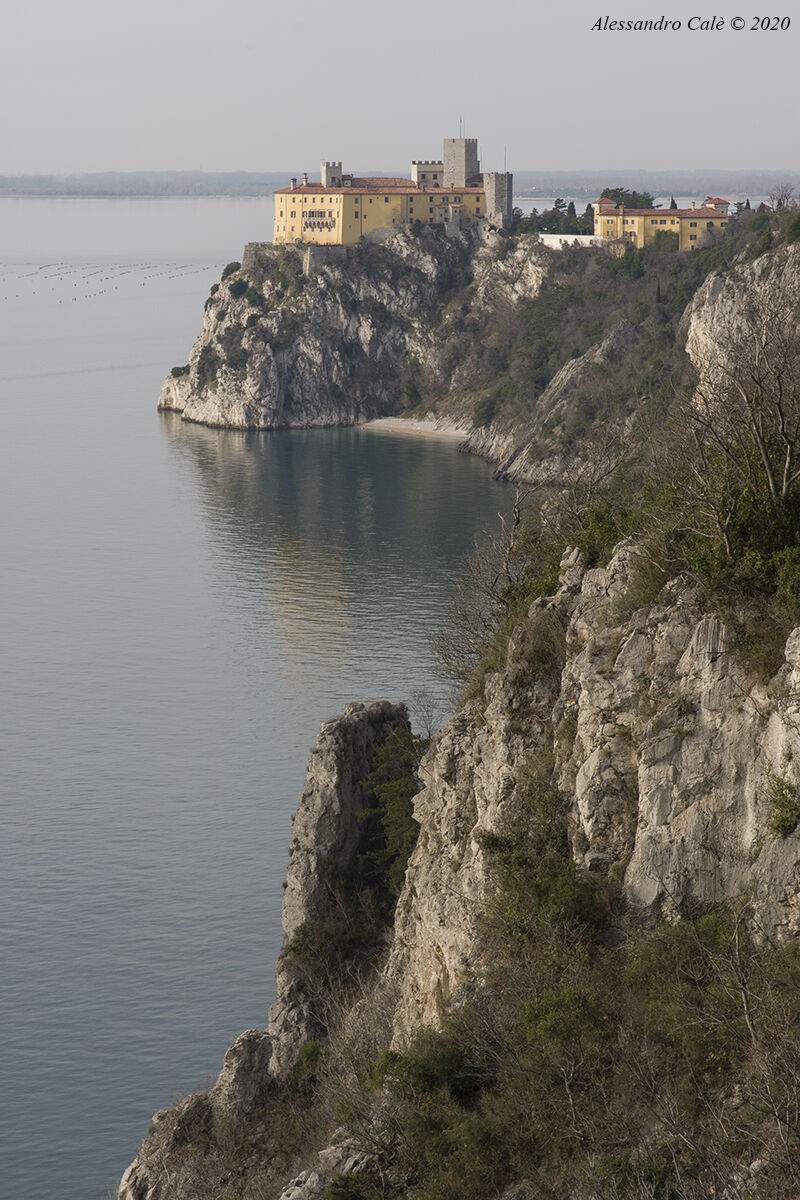 Castello di Duino 4177