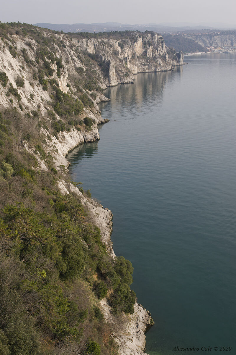 Falesia di Duino 4299