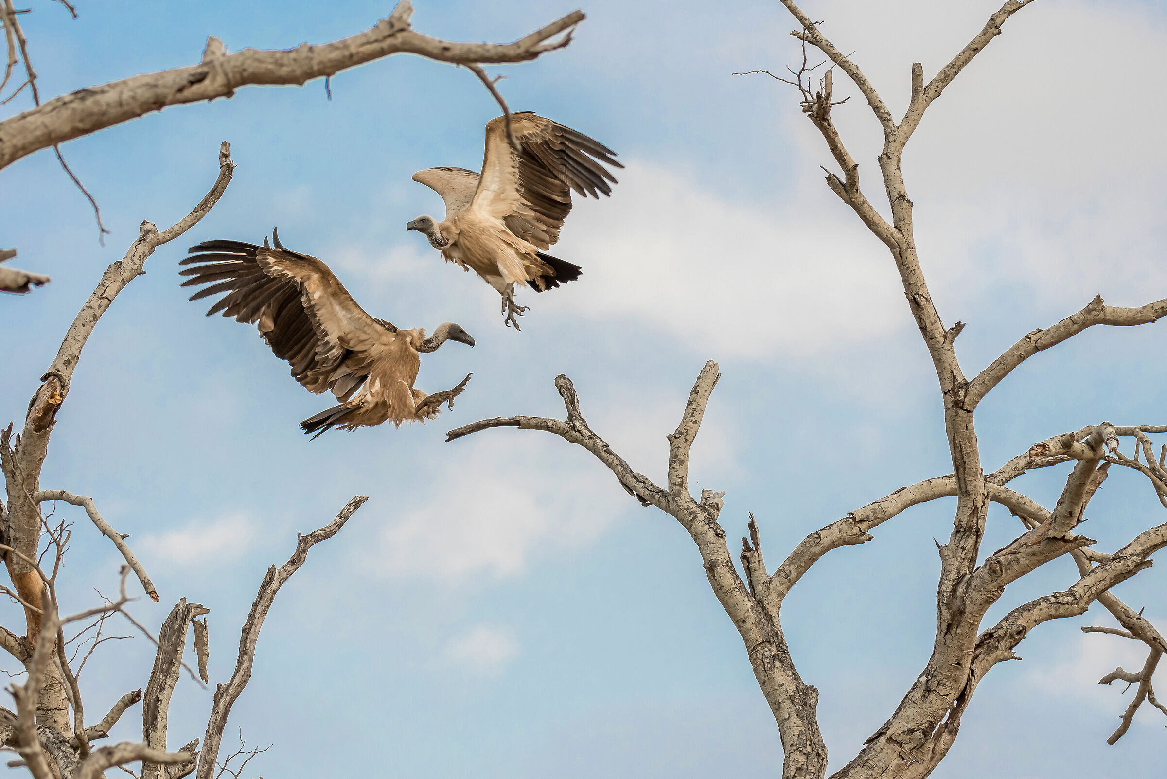 Simultaneous landing