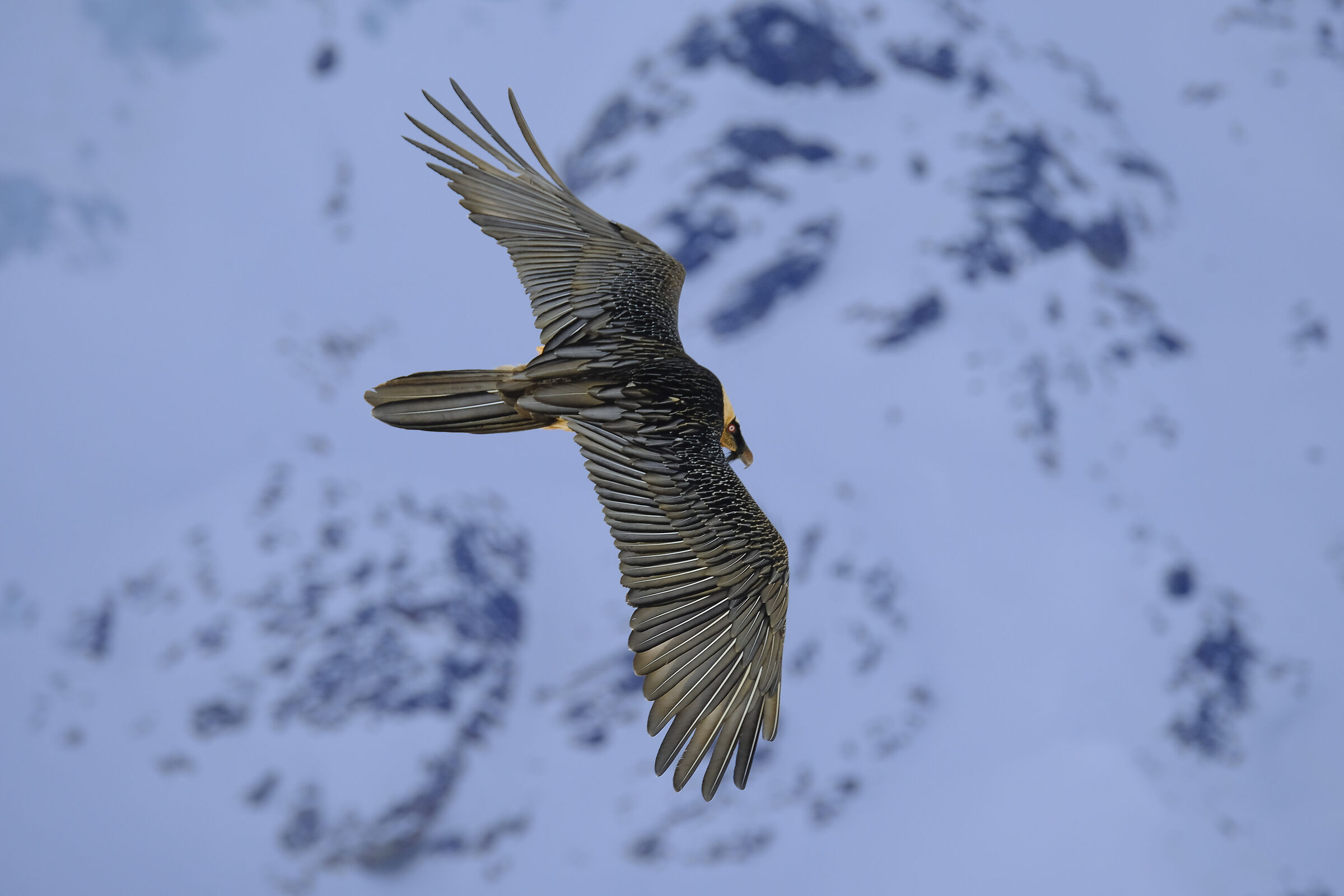 the silence of the flight