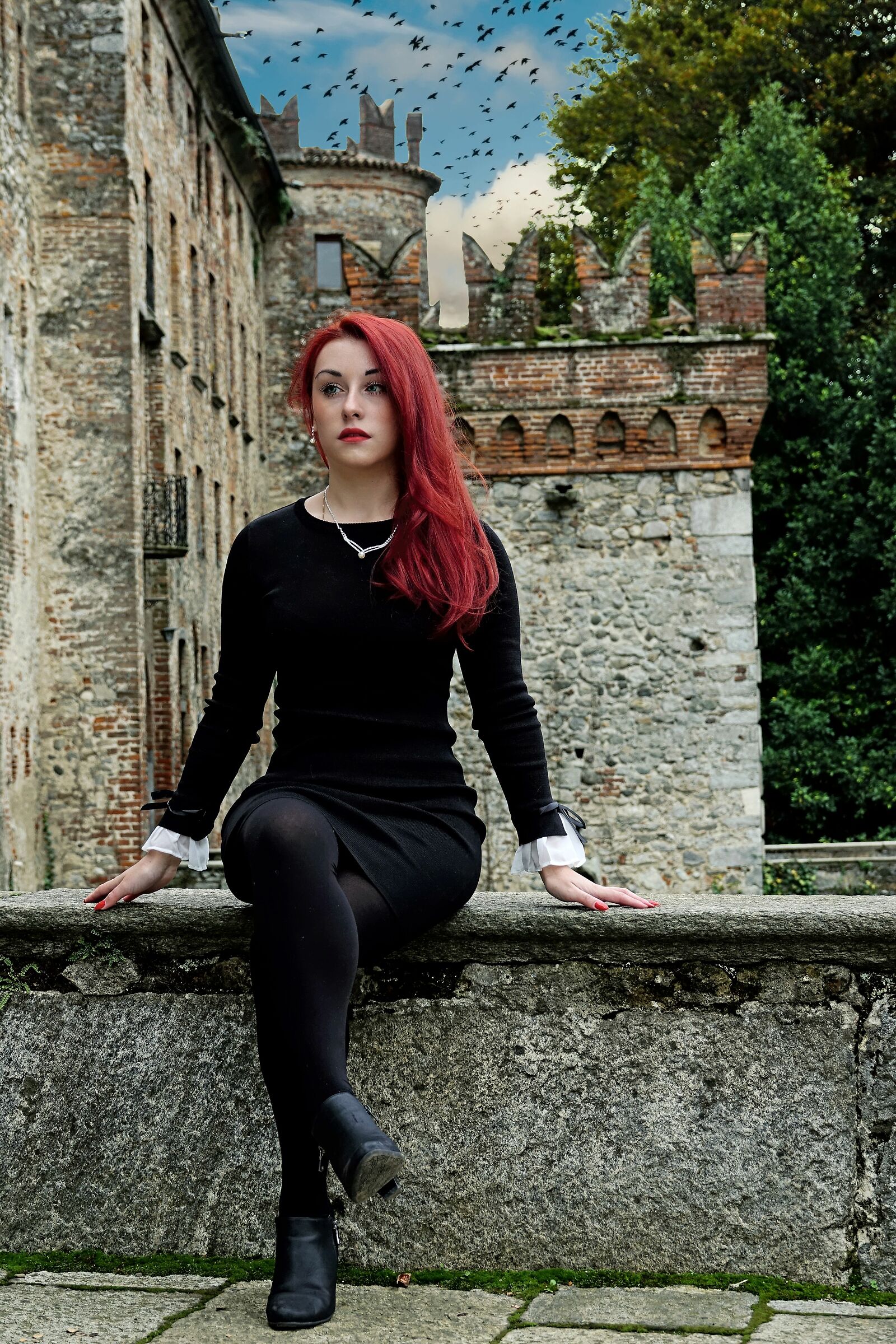 Castle Visconteo Sum L.