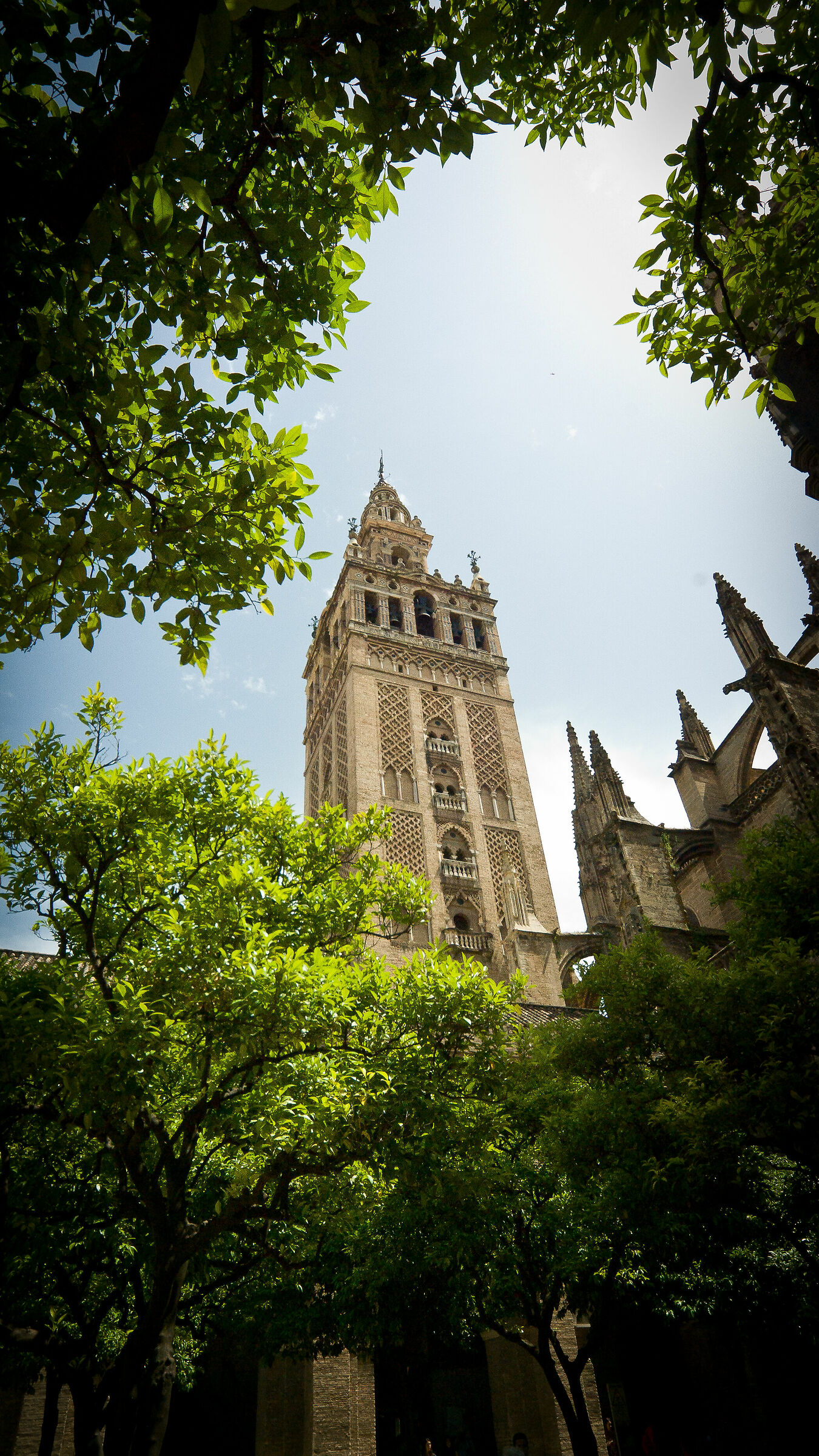 Giralda