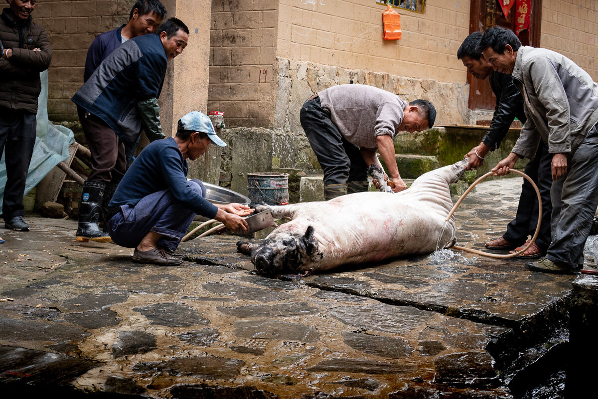 There's going to be a wedding at the village.