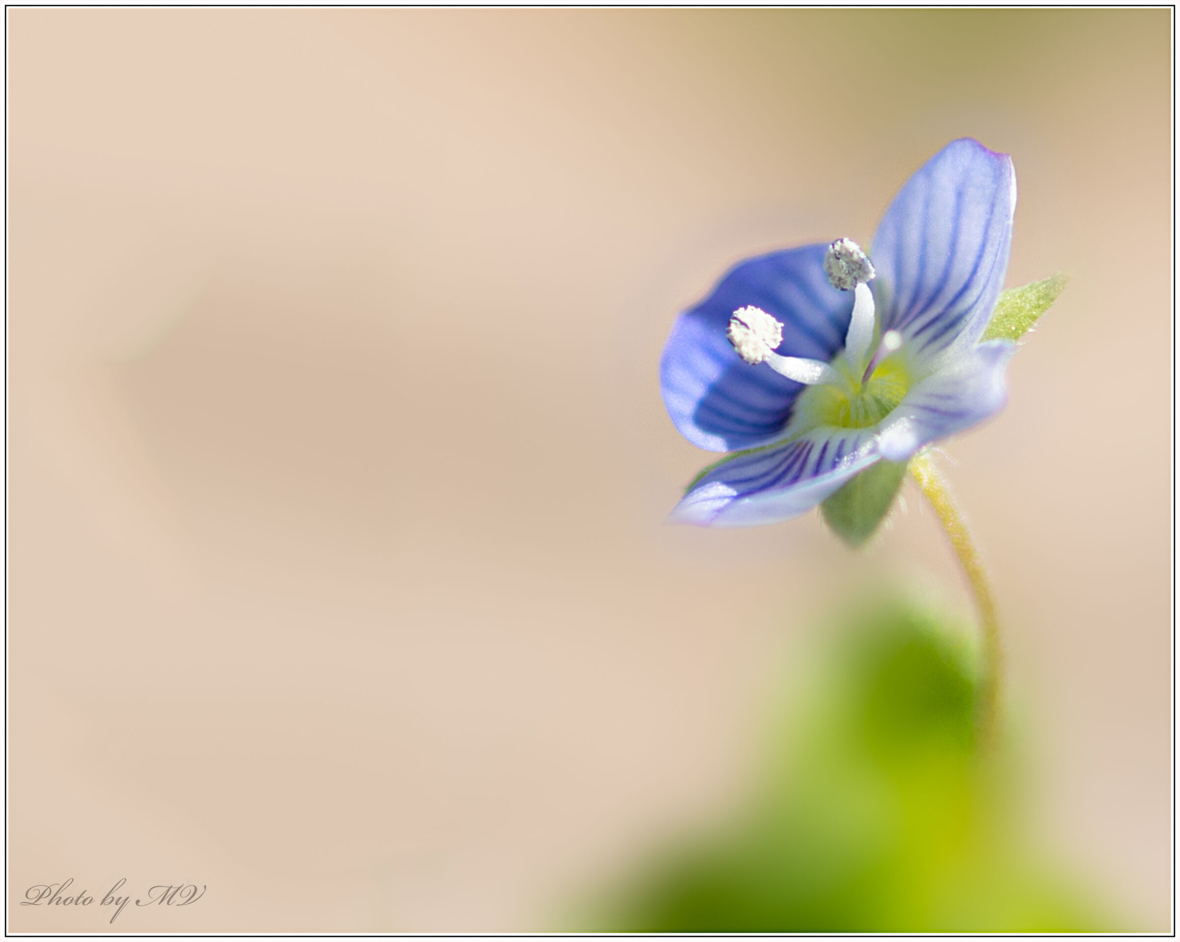 Don't forget about me....