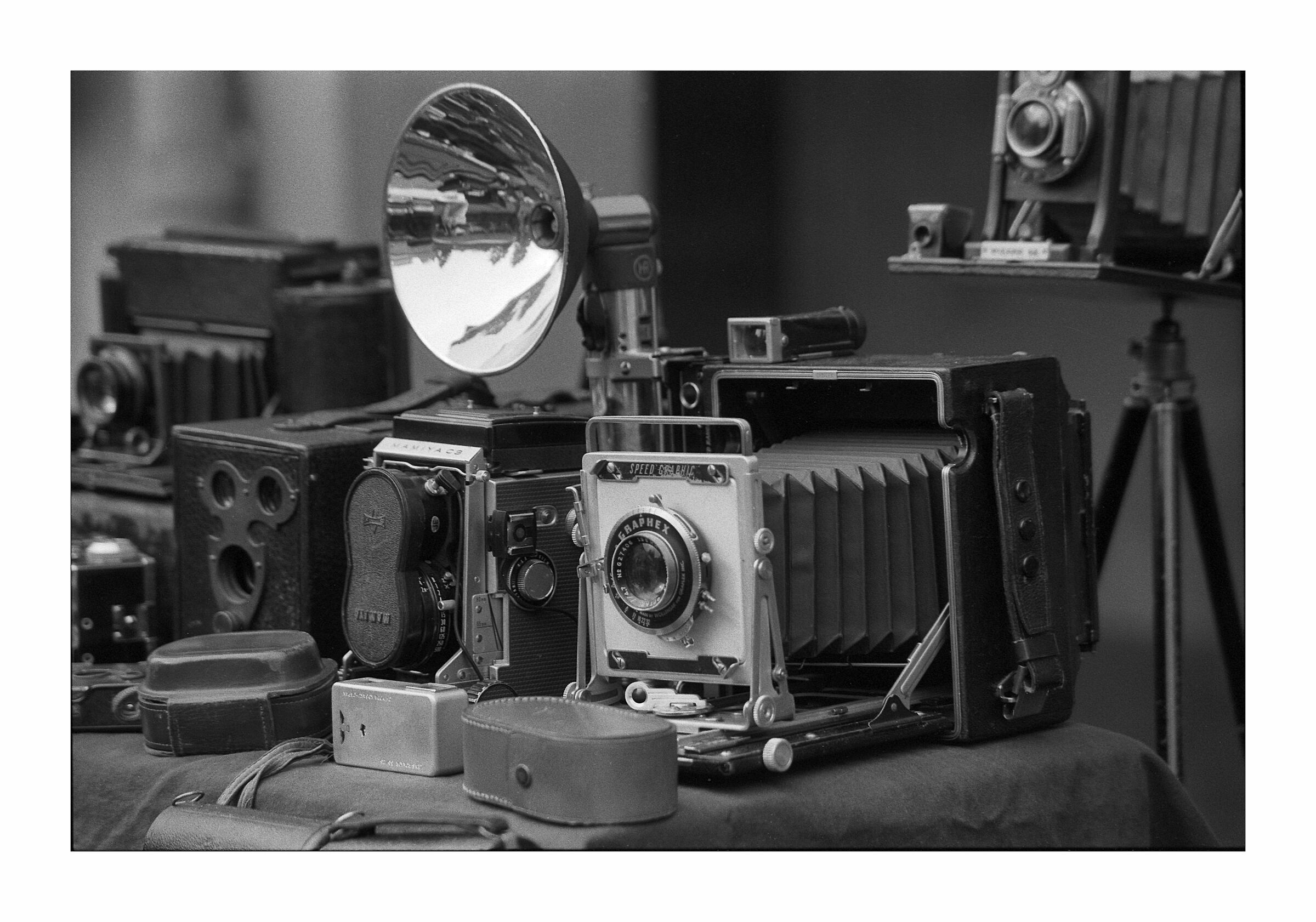 Vintage bellows cameras.