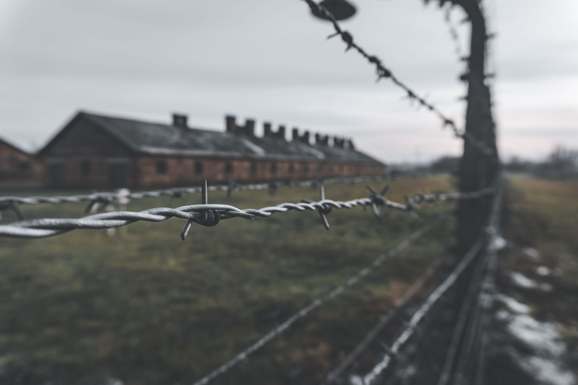 Birkenau