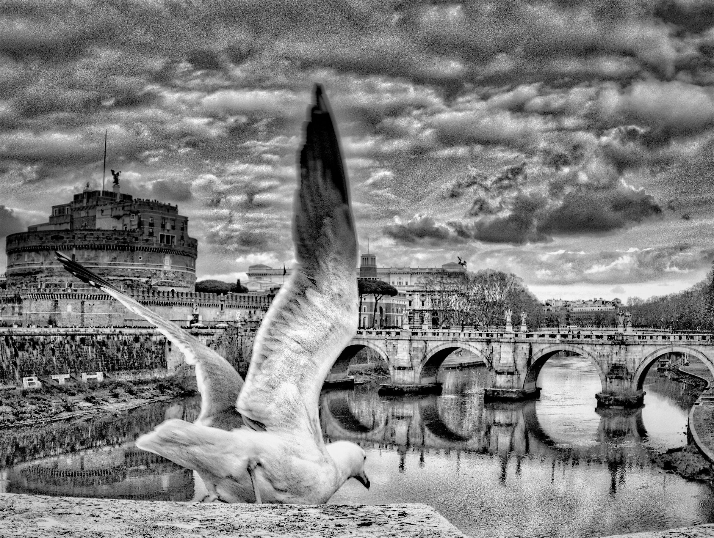 Re di Roma