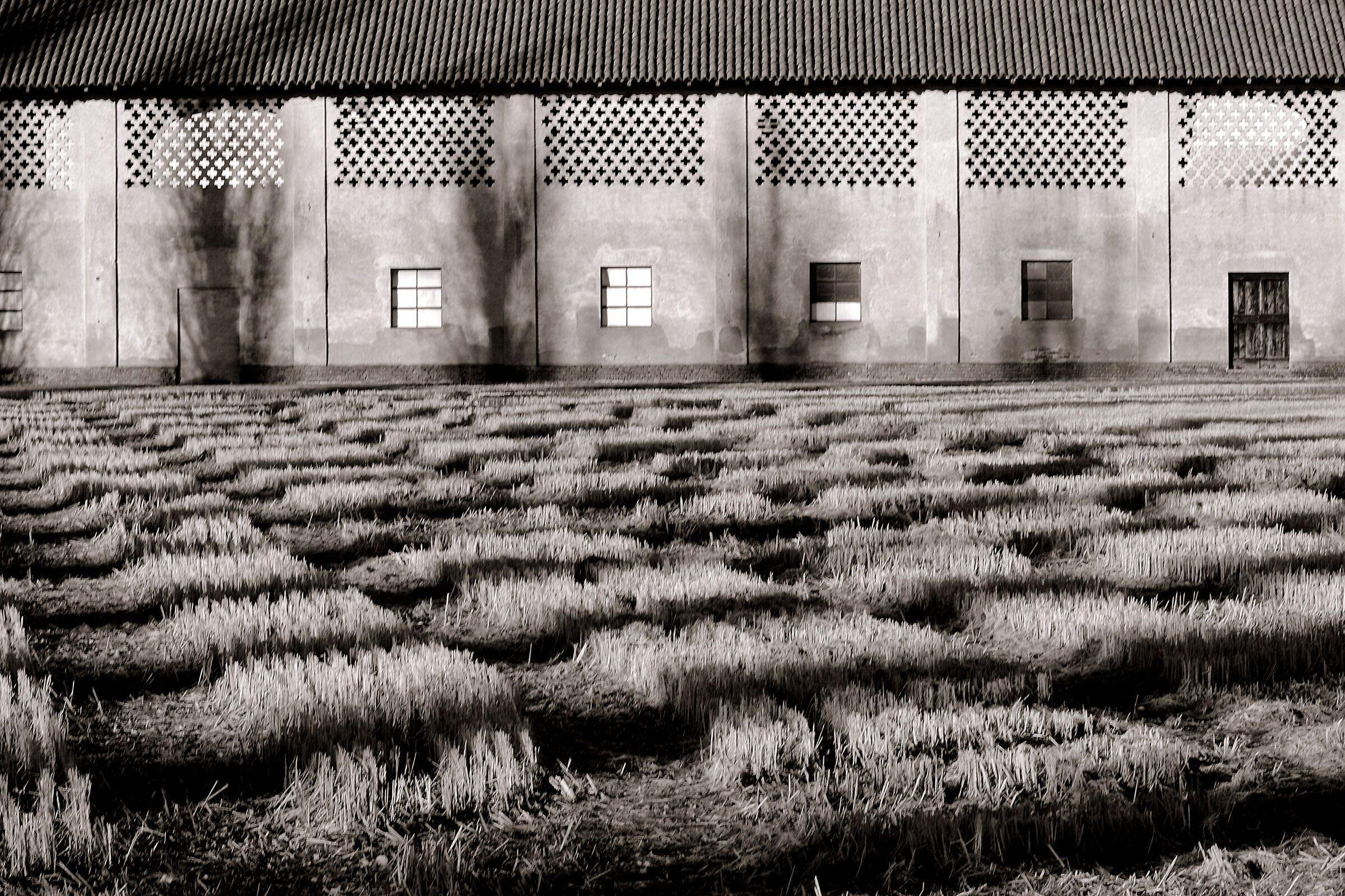 Ombre in cascina, Strada Provinciale per la Valsesia