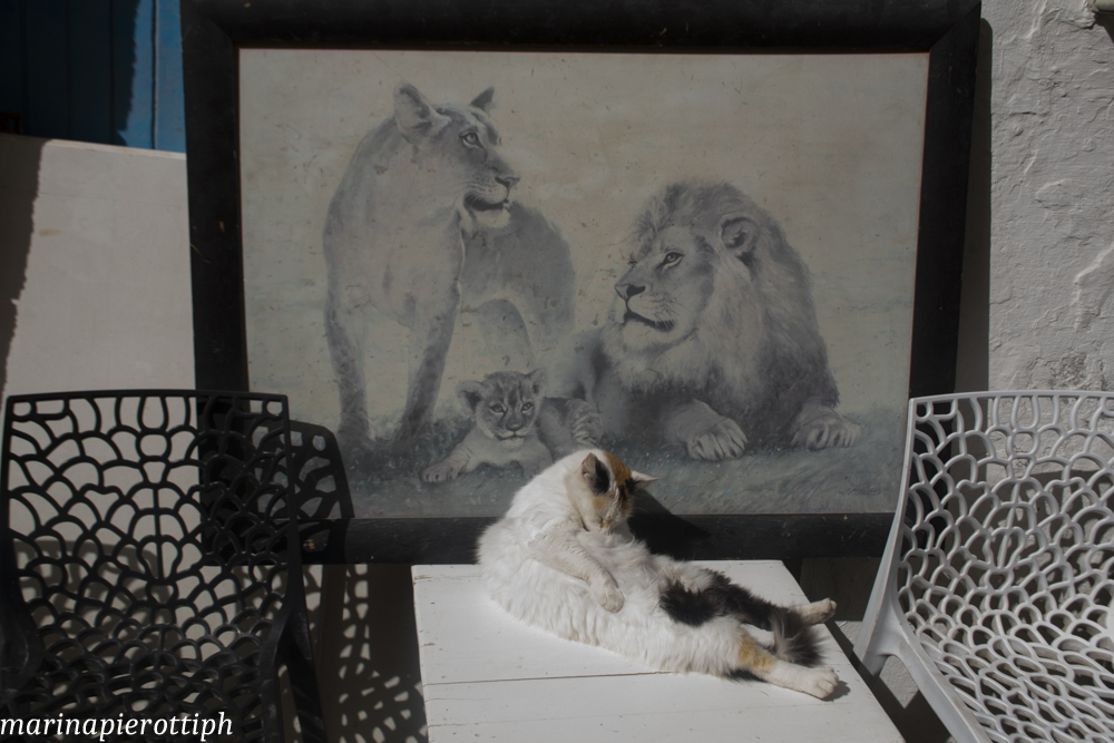 sotto al ritratto di famiglia