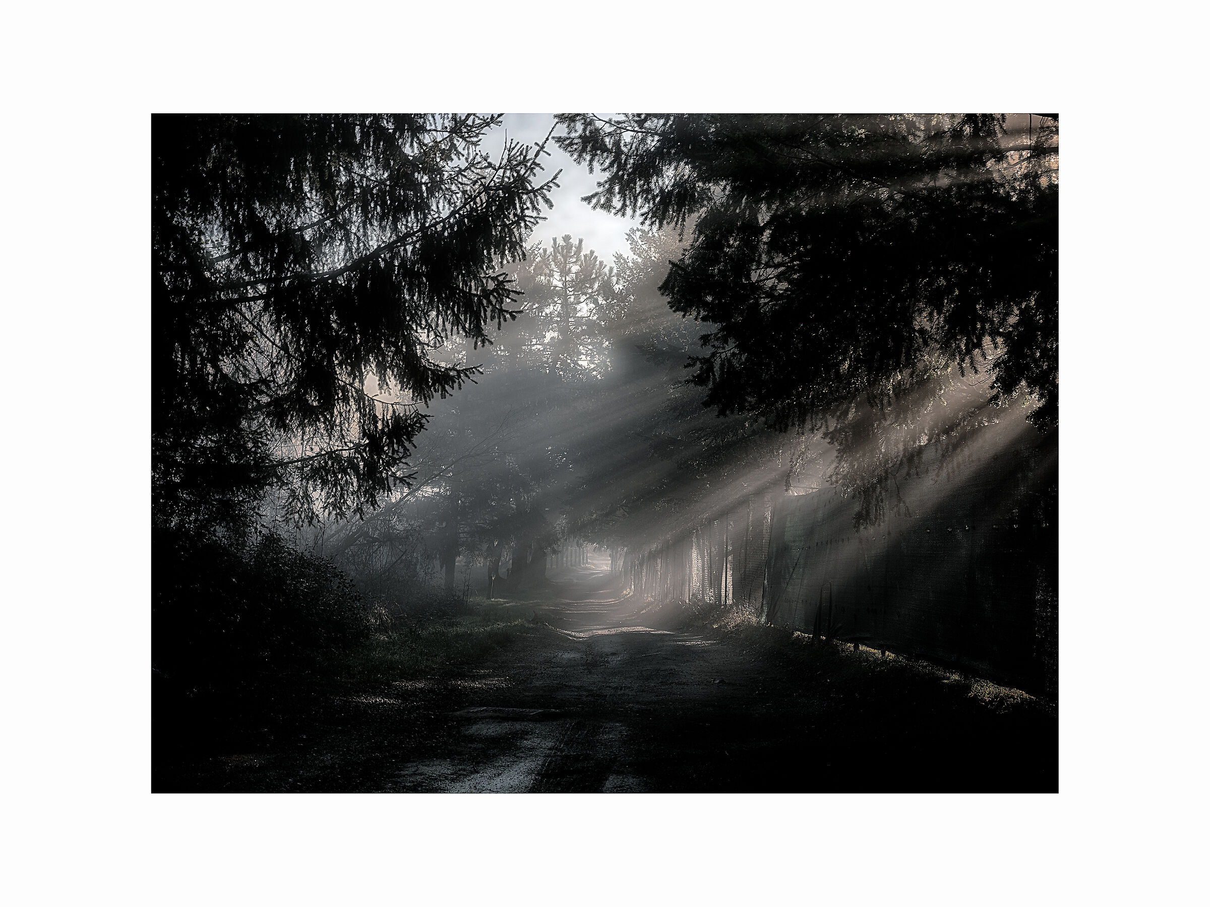 Il sentiero dei bracconieri