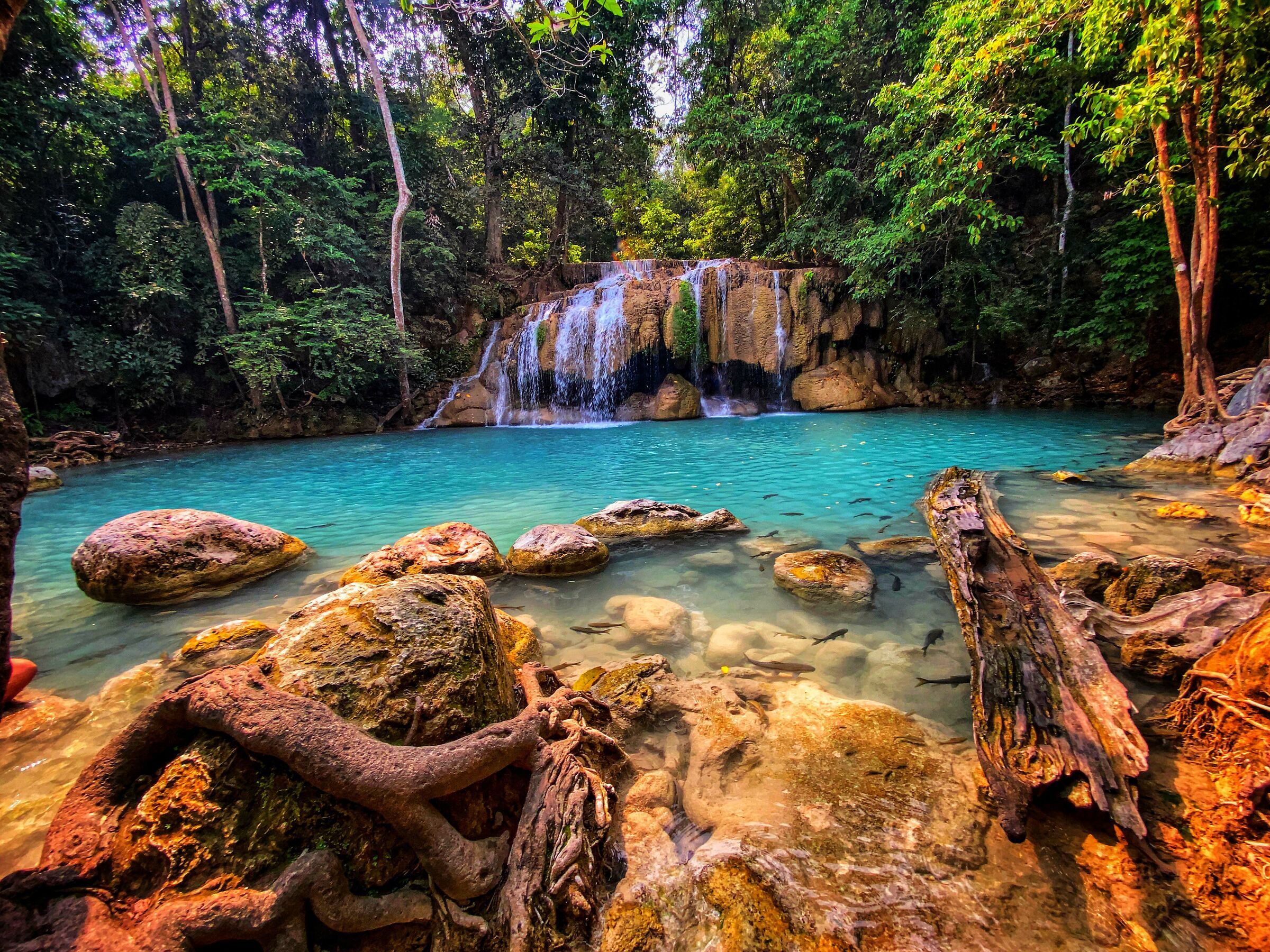 iphone 11 hone 11 - 12 mm