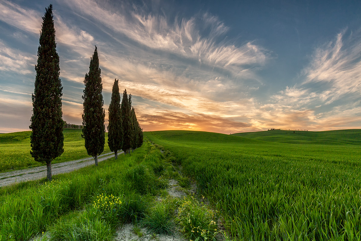 La primavera che verrà