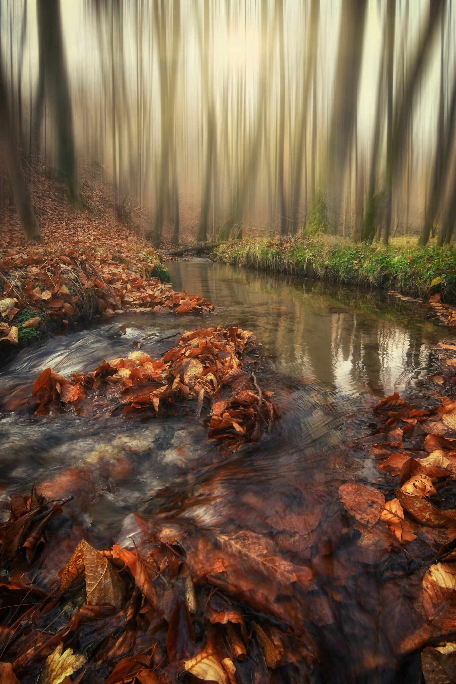 Up there where you are born