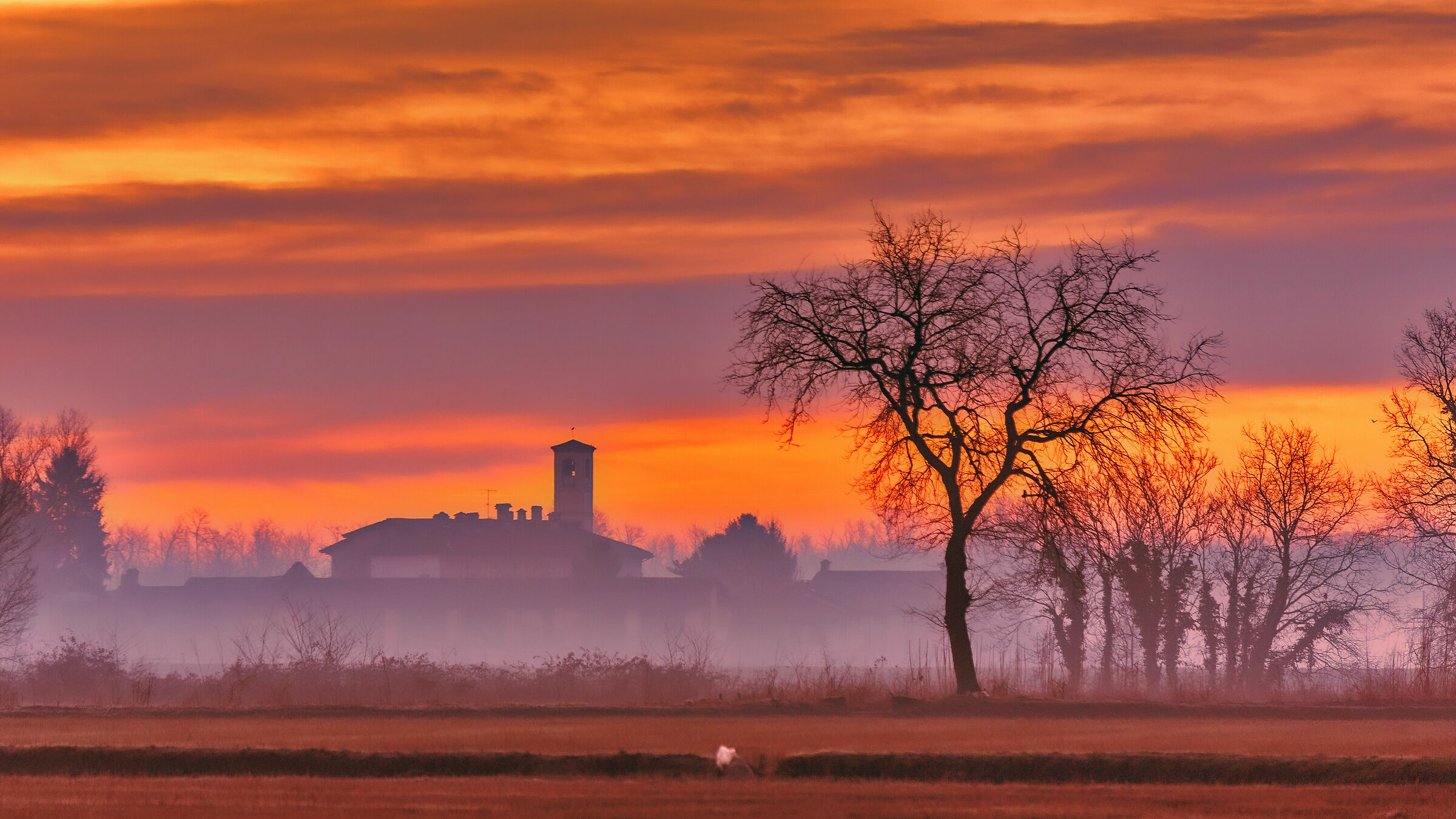 A tree, a church and a little fog