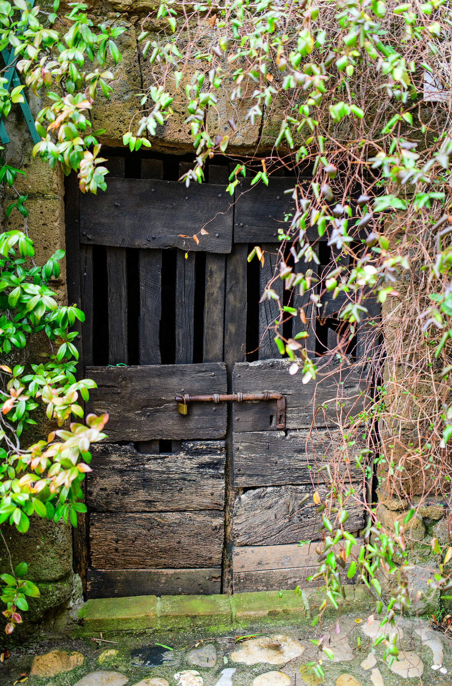 Calcata (Vt)-Porta provvisoria...?