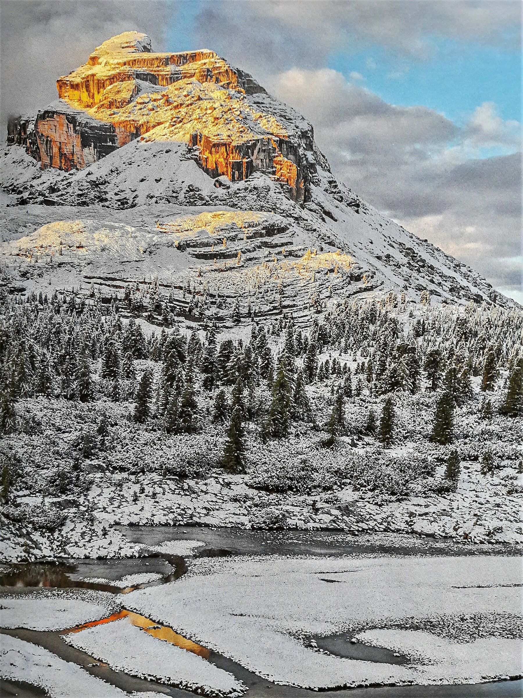 Beautiful... Beautiful... Beautiful...