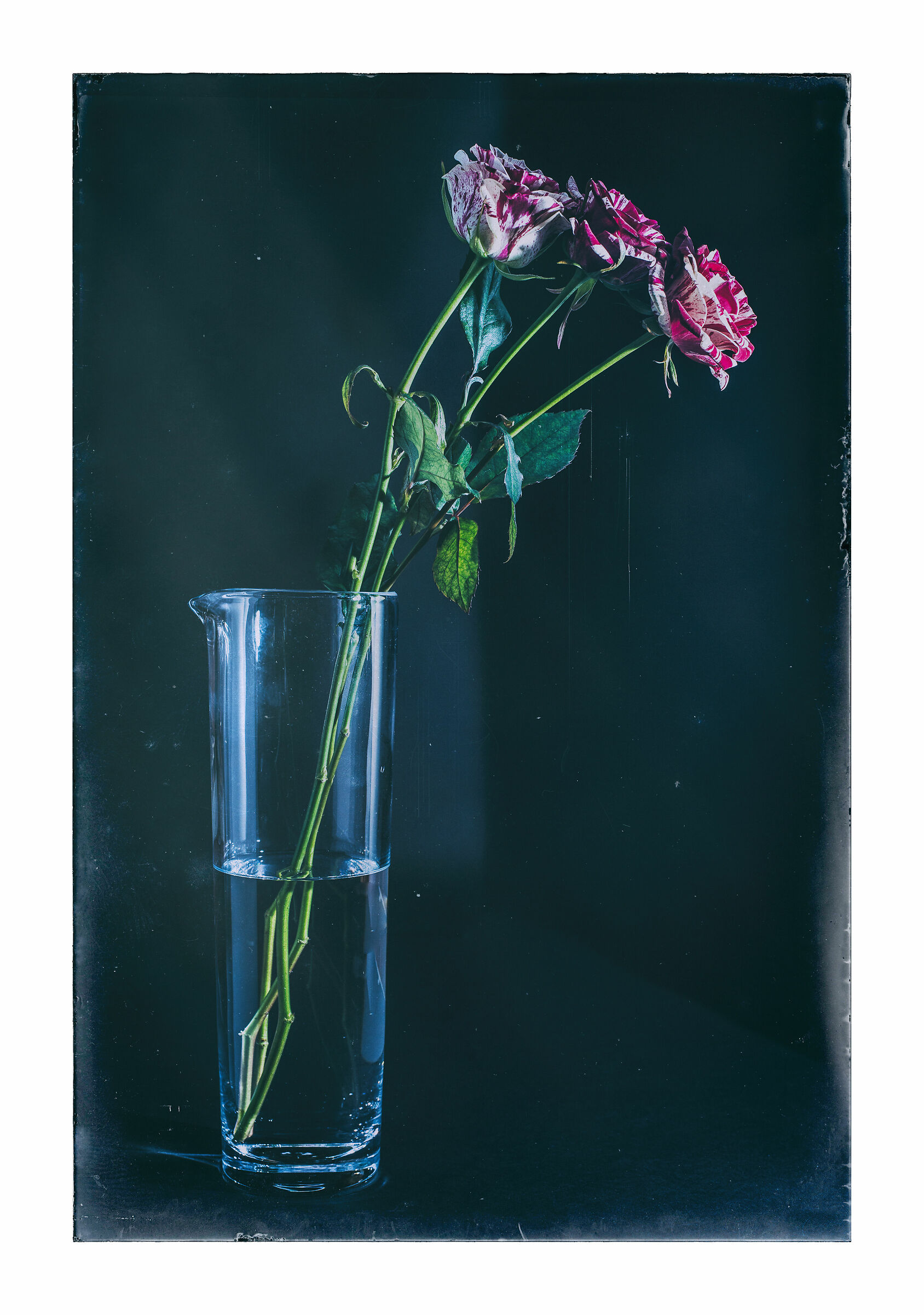 Flowers I
