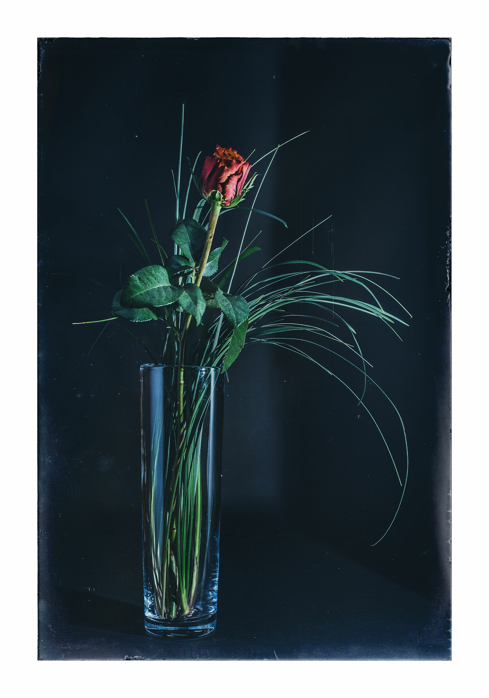Flowers III