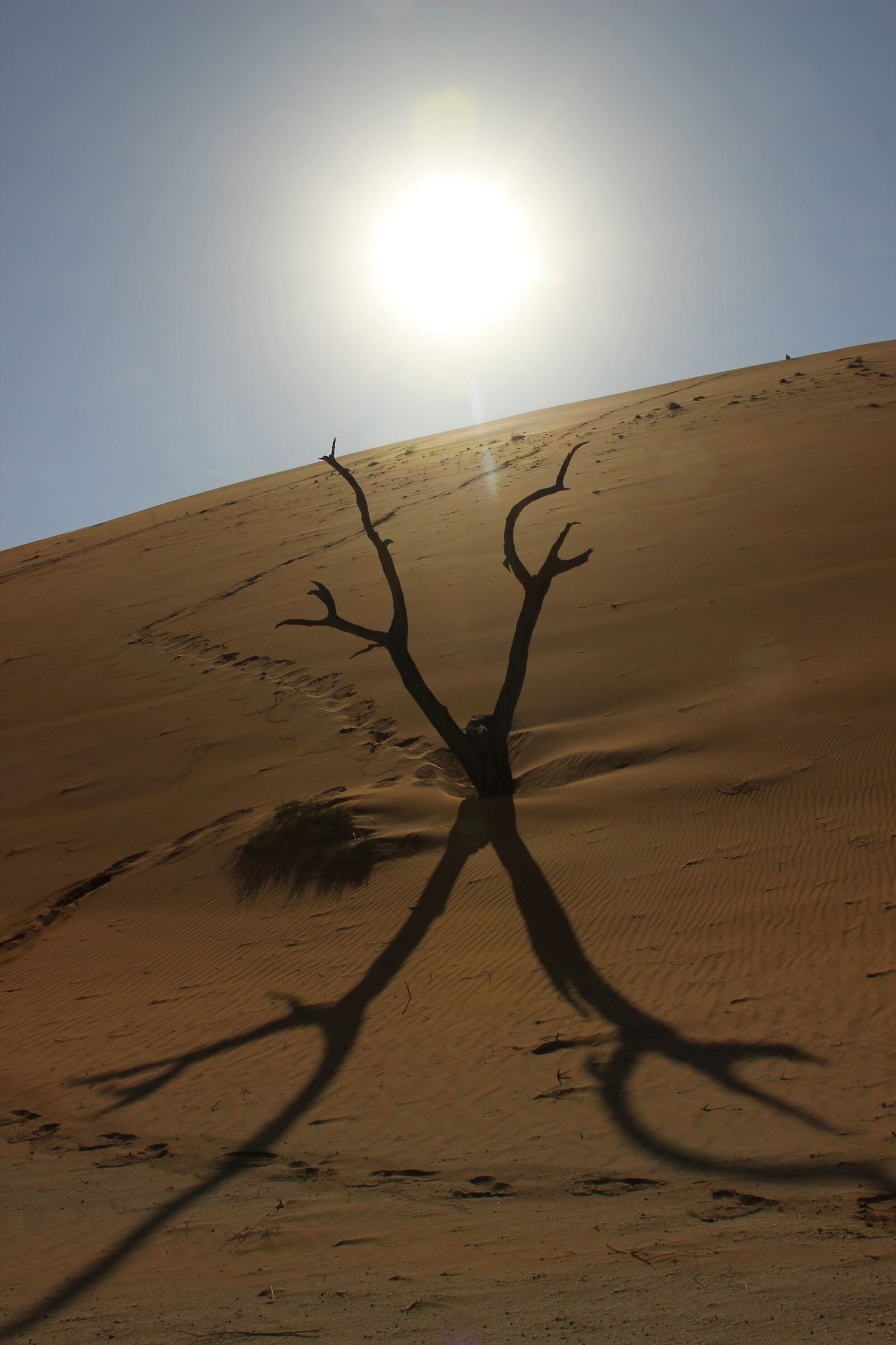 Luci ed ombre nel Namib Desert