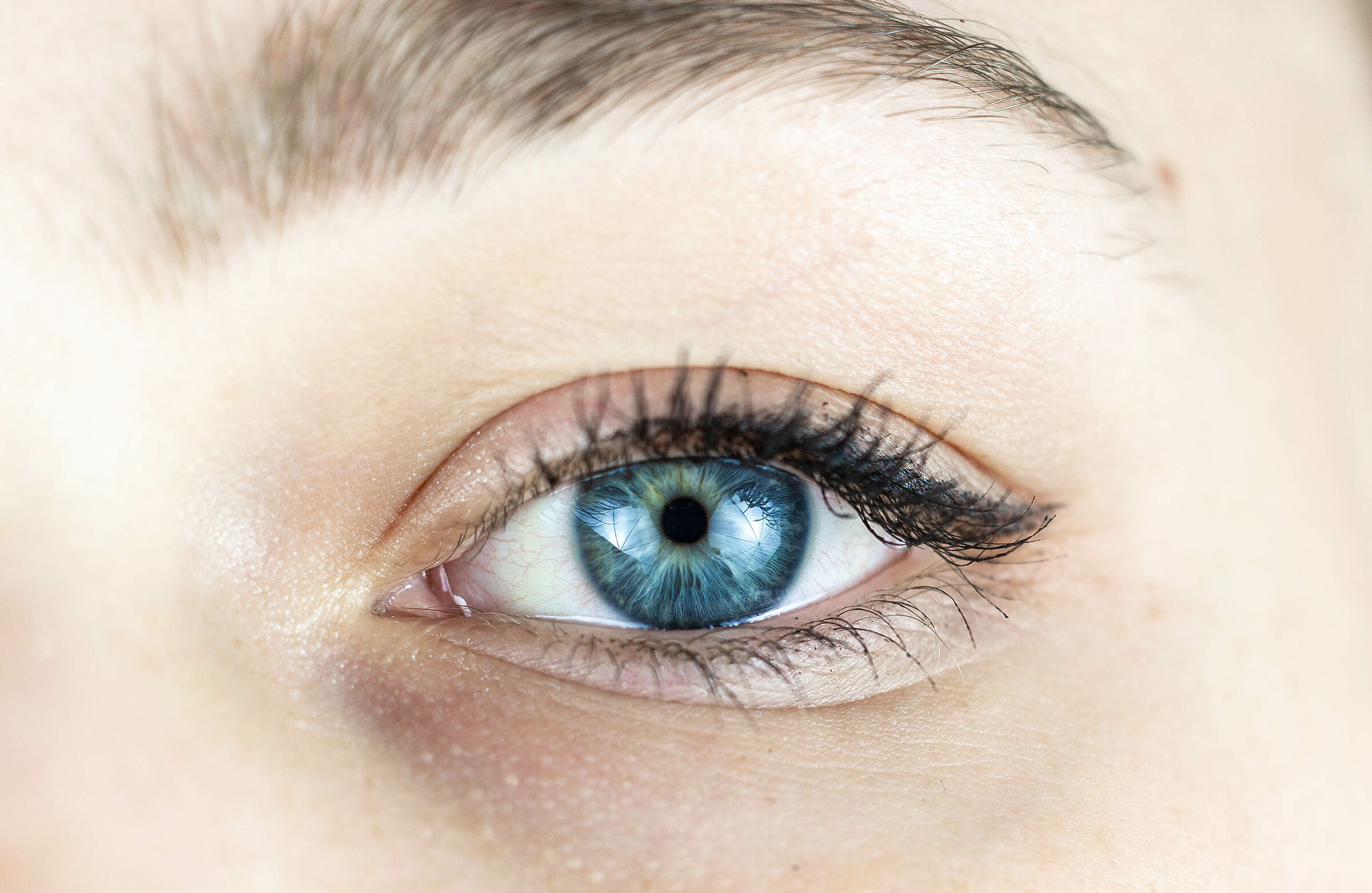 Eye